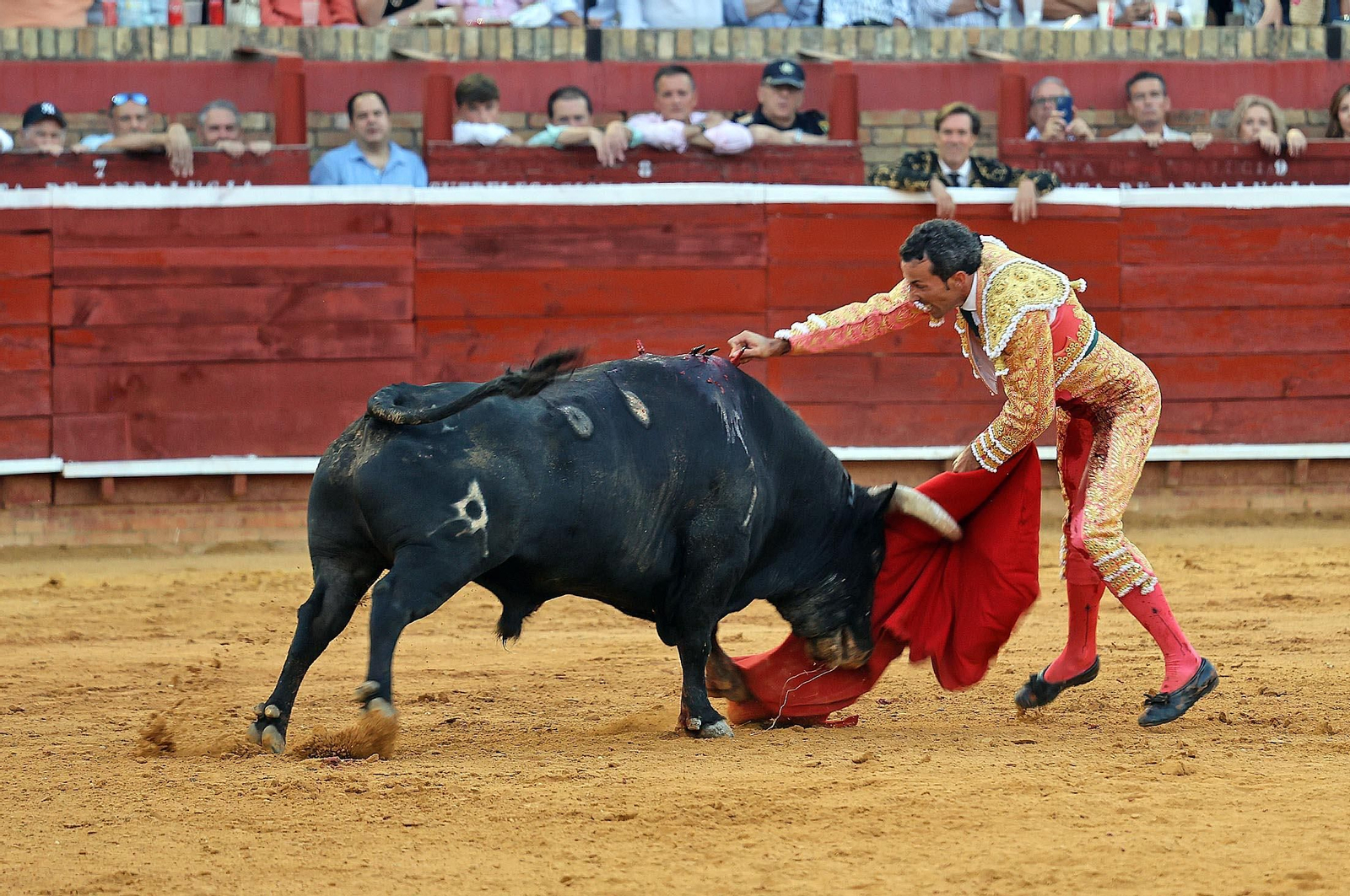 Toros La Merced: Imágenes de la corrida de David de Miranda, Roca Rey y Manzanare