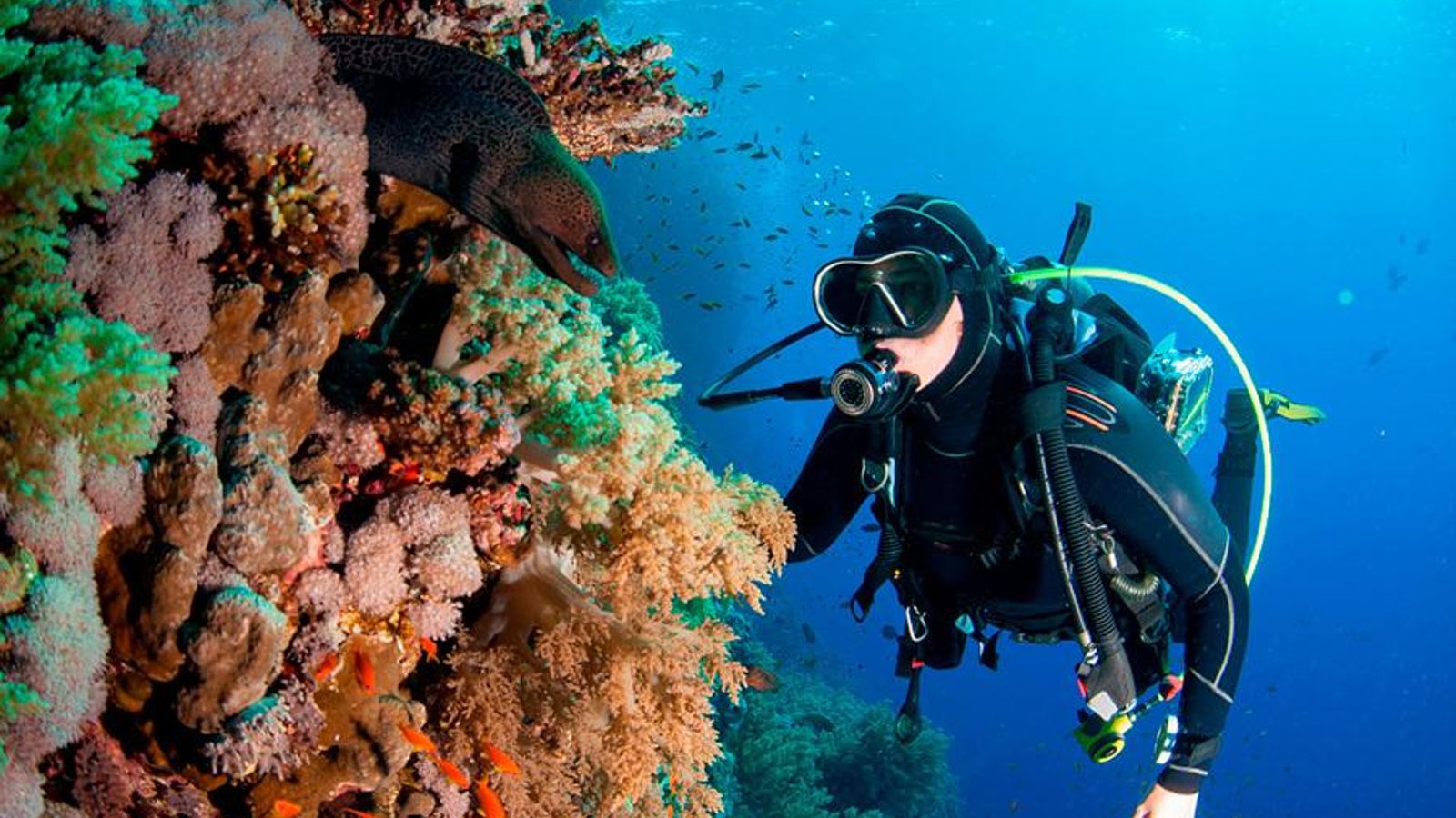 Buceo en los arrecifes