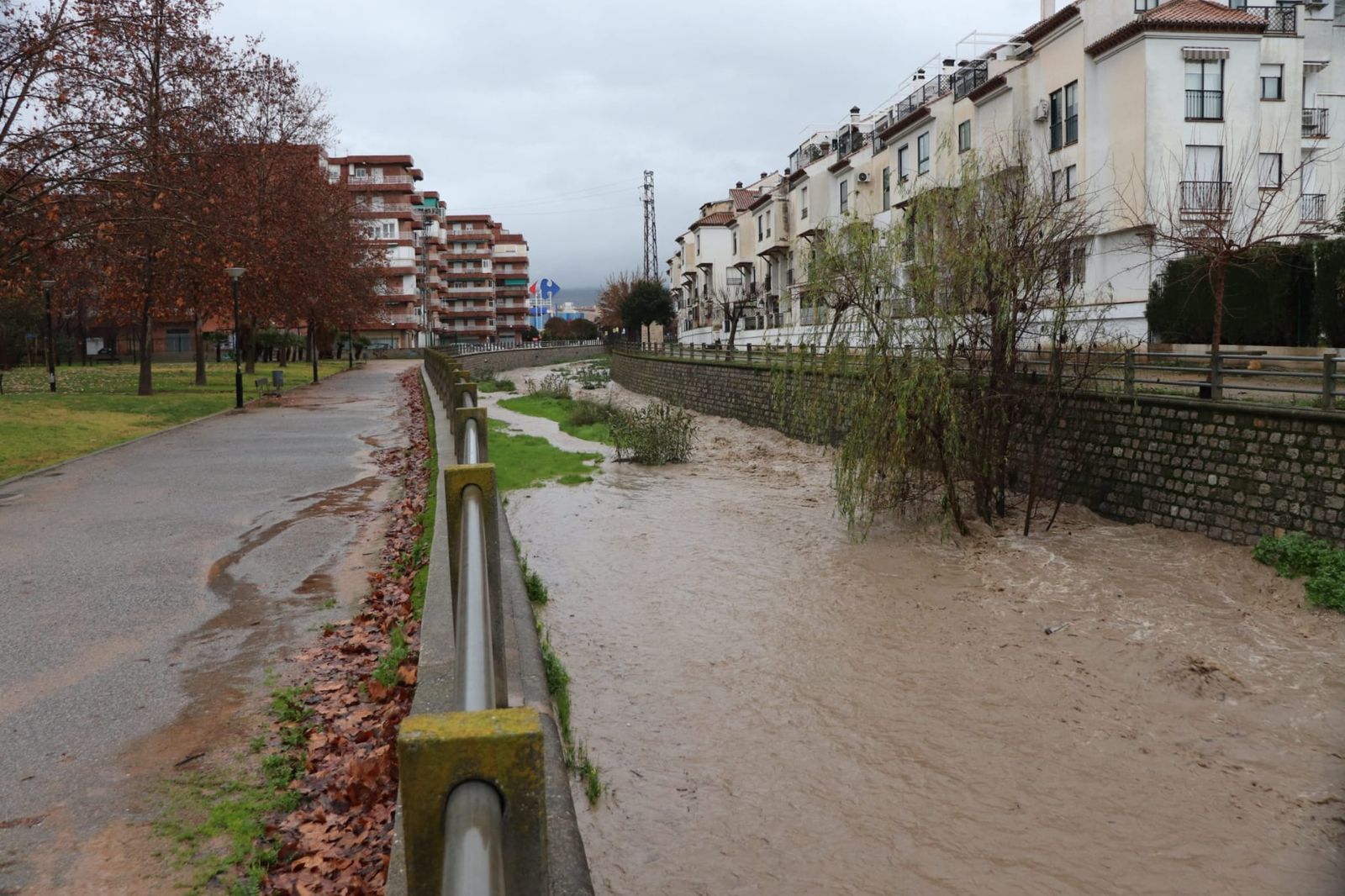 WhatsApp Image 2026-02-04 at 09.29.37