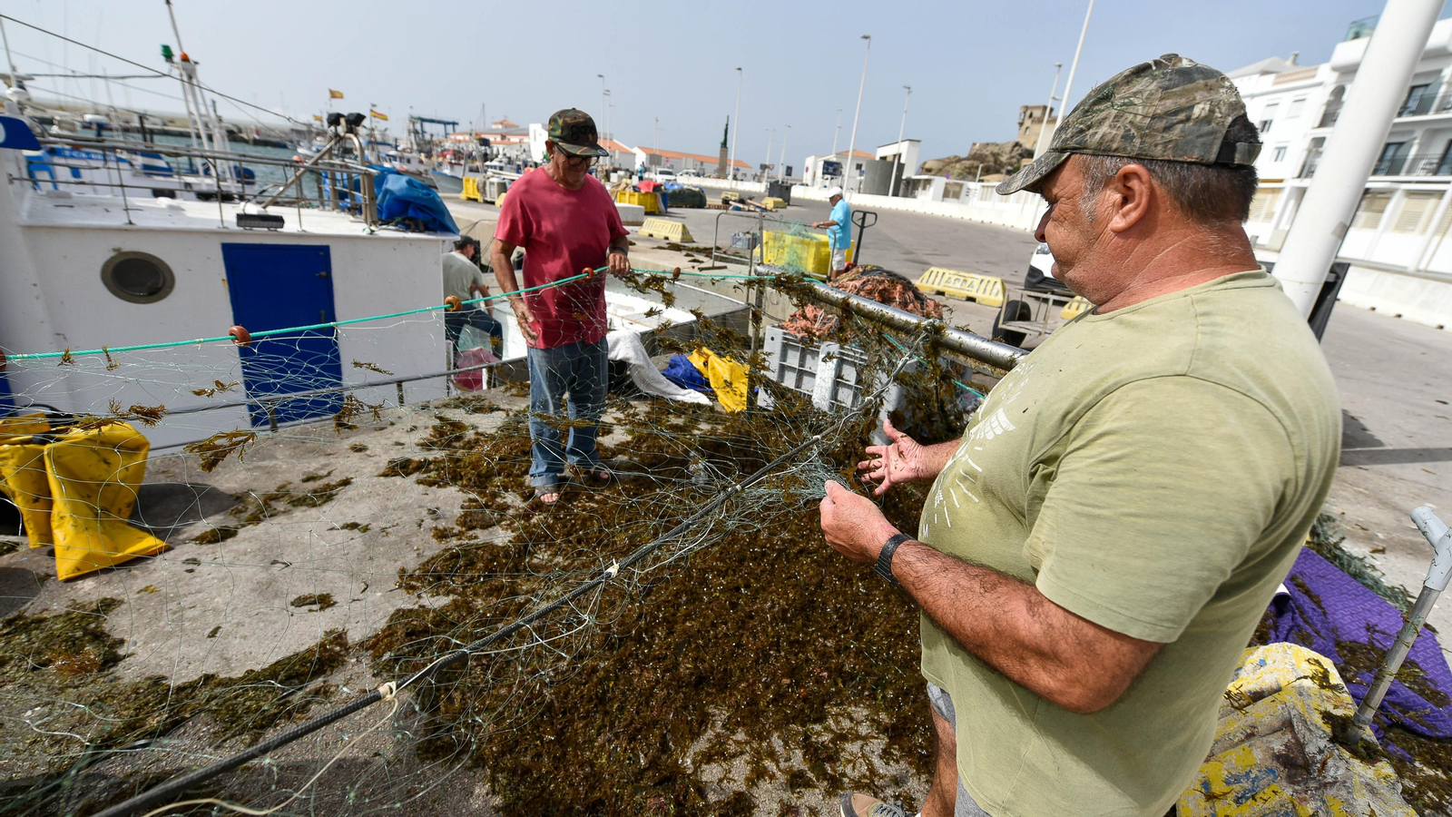 Las fotos del puerto pesquero de Tarifa