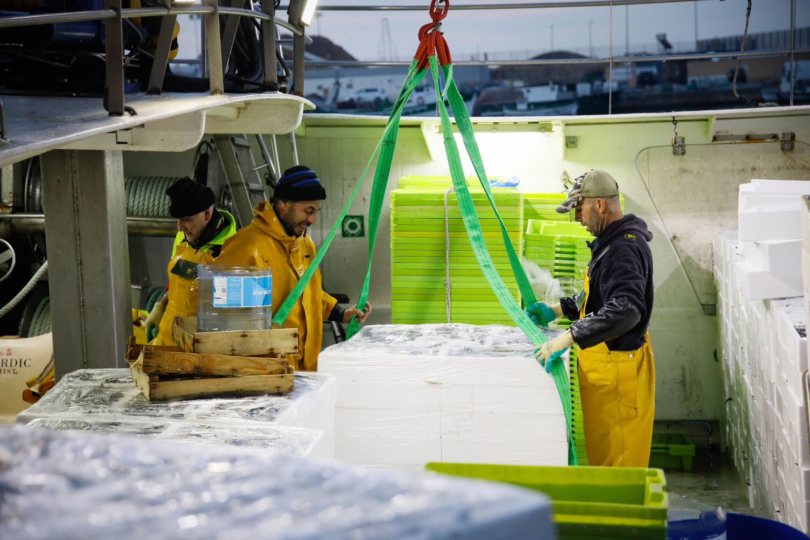 Te contamos en imágenes como ha sido la descarga de las traiñas en la lonja de Almería