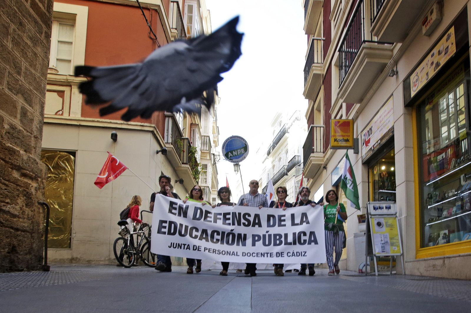 La cabeza de la manifestación por la educación pública recorriendo la calle Novena.