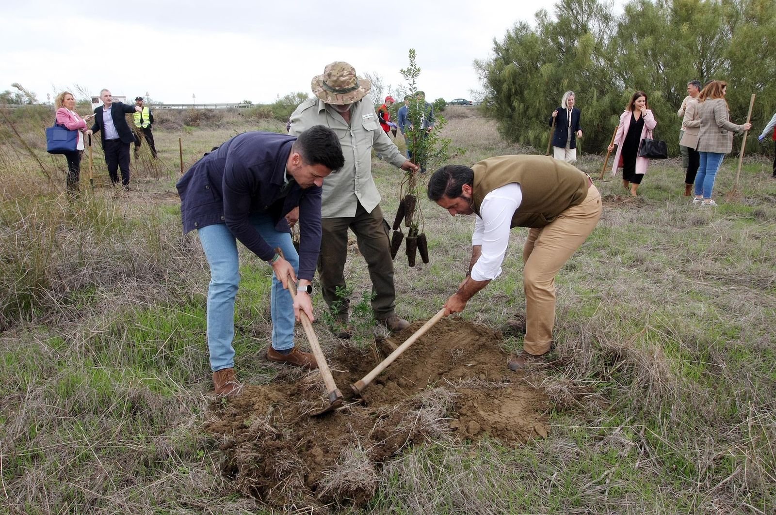 Imágenes de la plantación de árboles en los Llanos de Bacuta, en el Paraje Natural Marismas del Odiel, Huelva