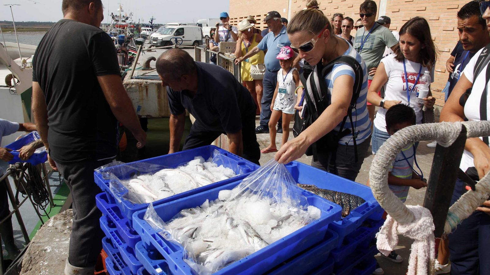 Turistas observan una descarga de capturas en la lonja pesquera de Isla Cristina