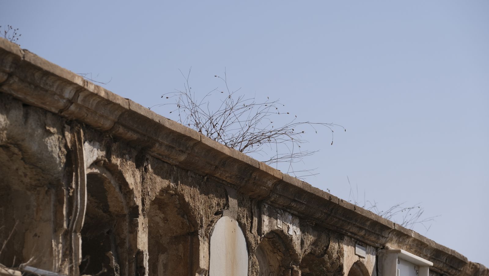 Imágenes del Día de Todos los Santos en el Cementerio de San José de Almería