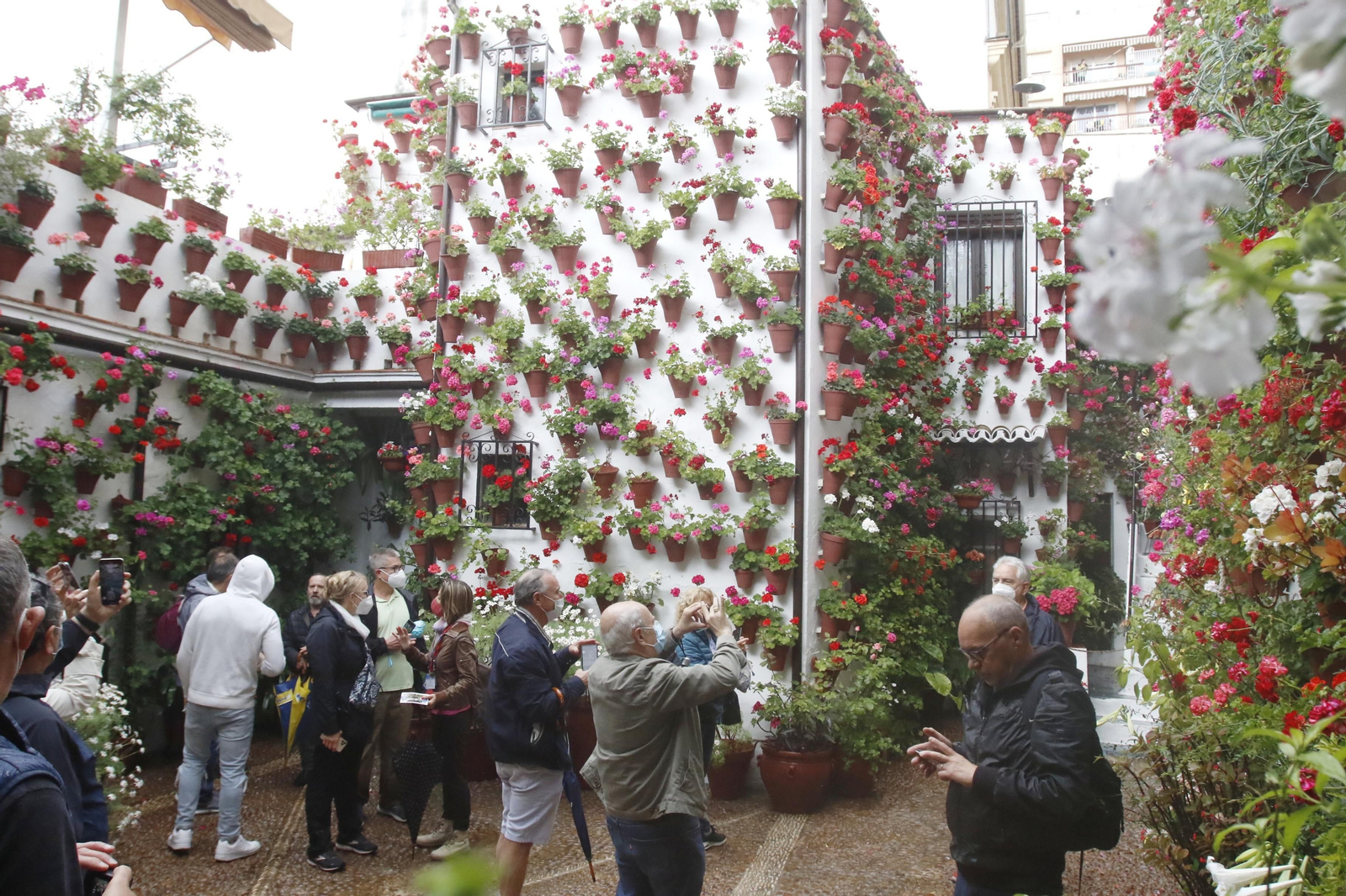 Los Patios de Córdoba reciben sus primeros visitantes, en imágenes