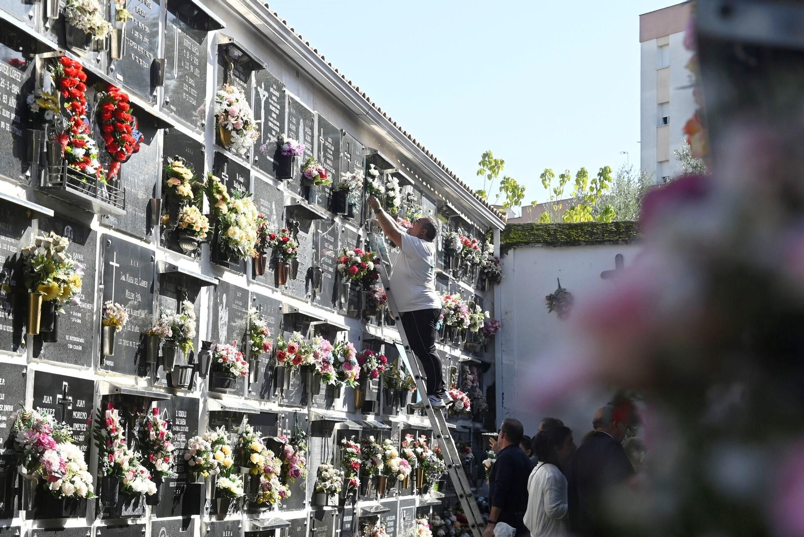 Varias personas en el cementerio de San Rafael en Córdoba el día de los Santos de 2024.