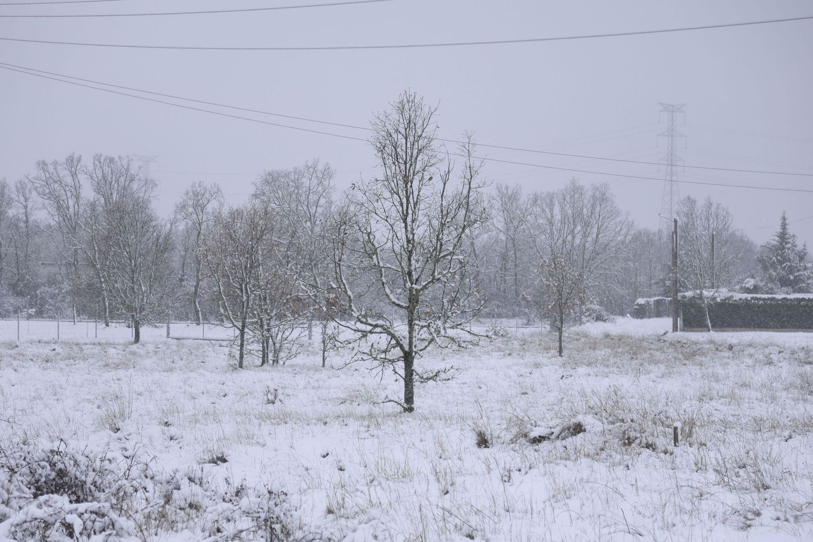 La nieve tiñe de blanco en norte de España