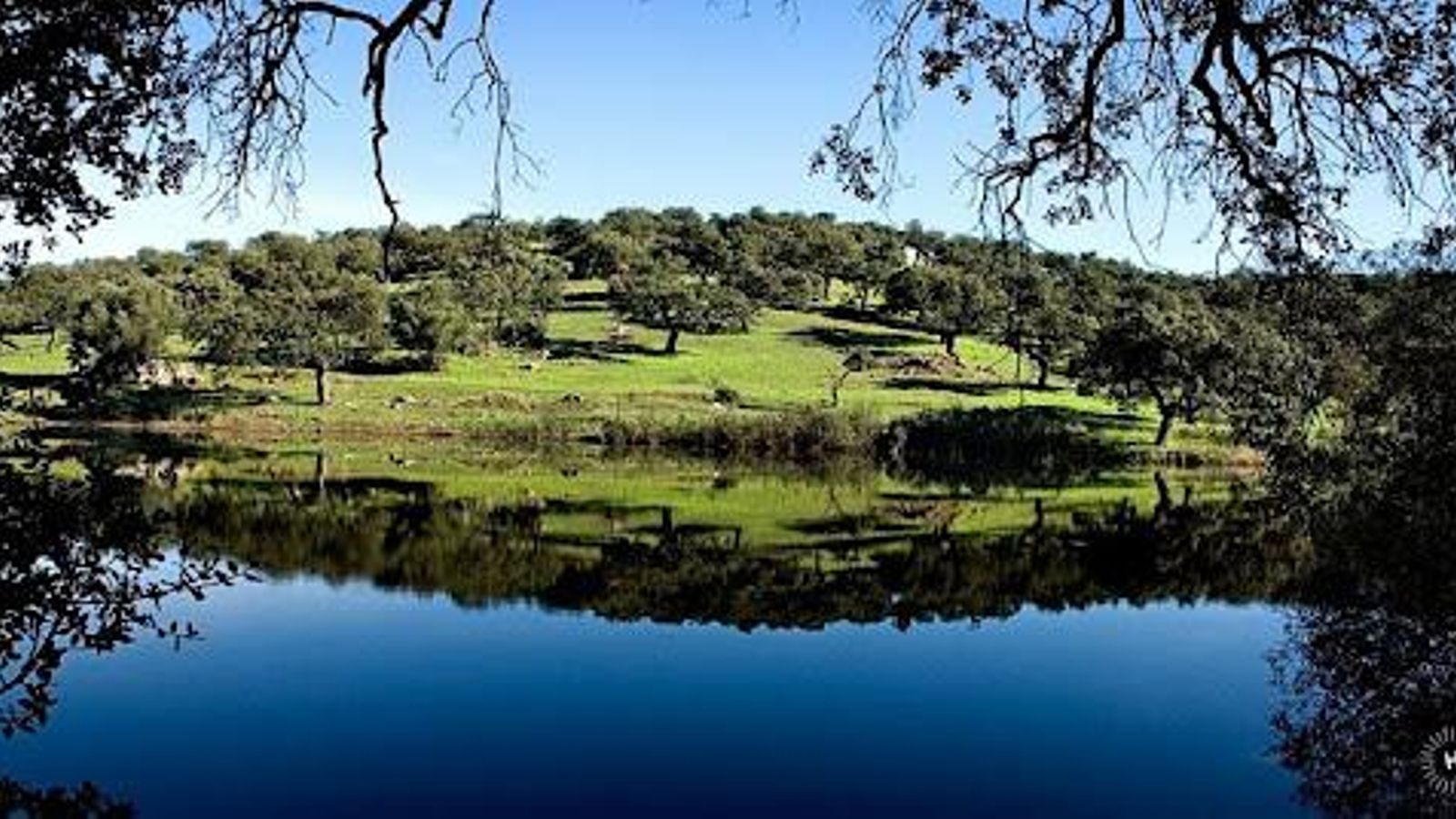 Parque Natural Sierra de Aracena y Picos de Aroche