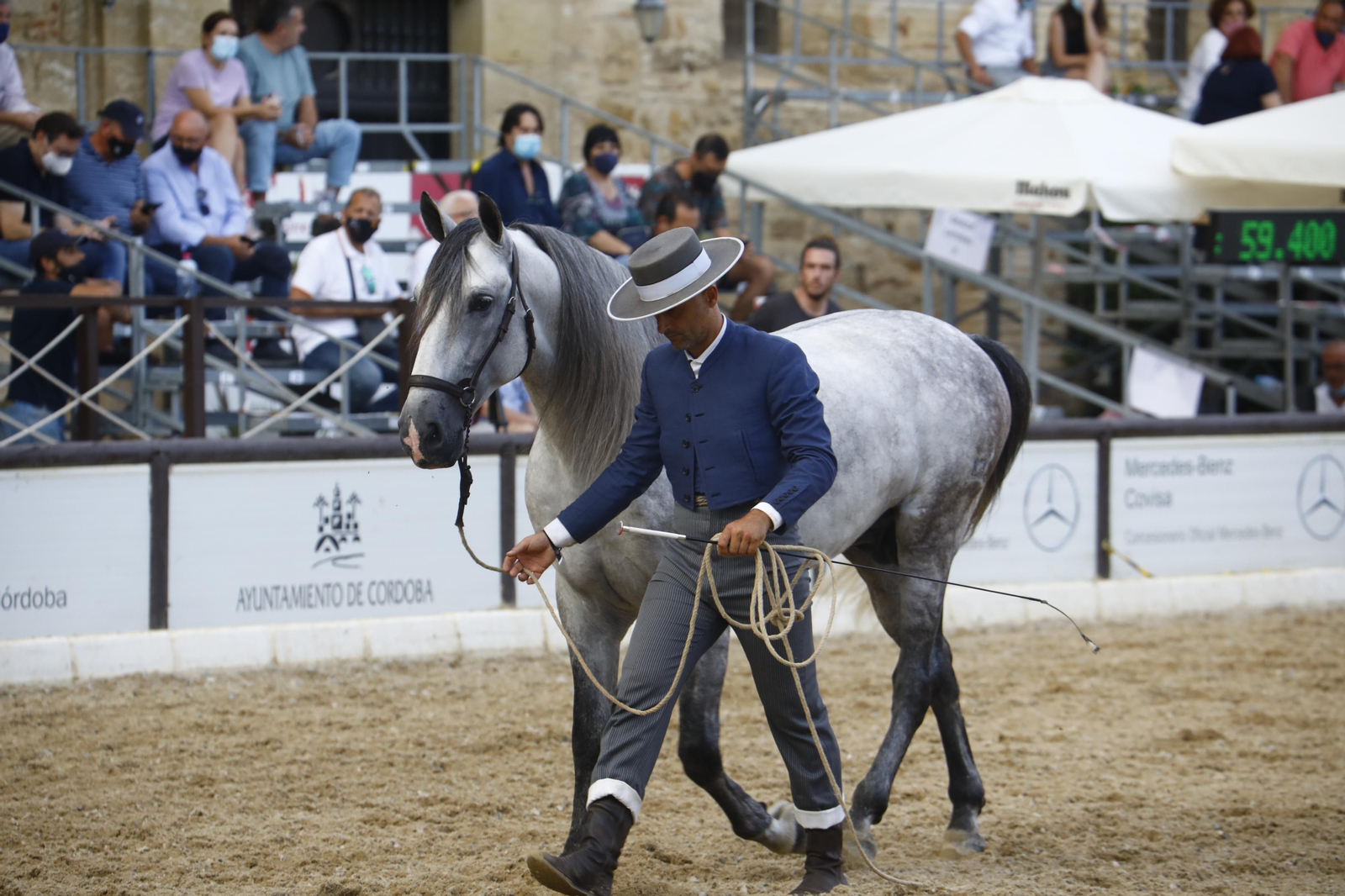 El concurso morfológico de caballos de pura raza de Cabalcor, en fotografías