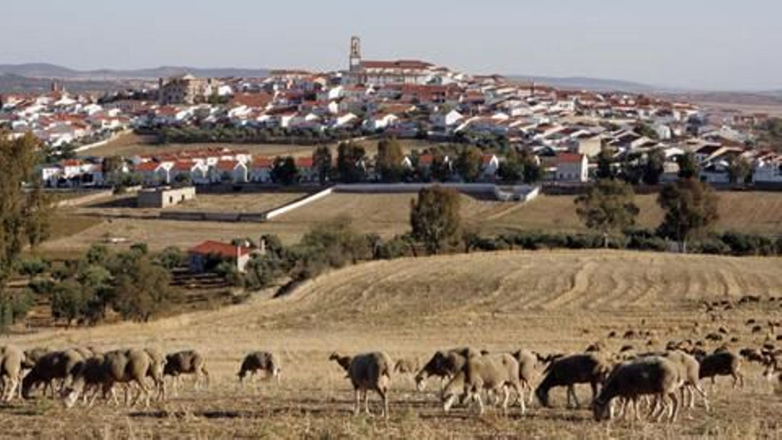 Fuente Obejuna, de aldea en aldea
