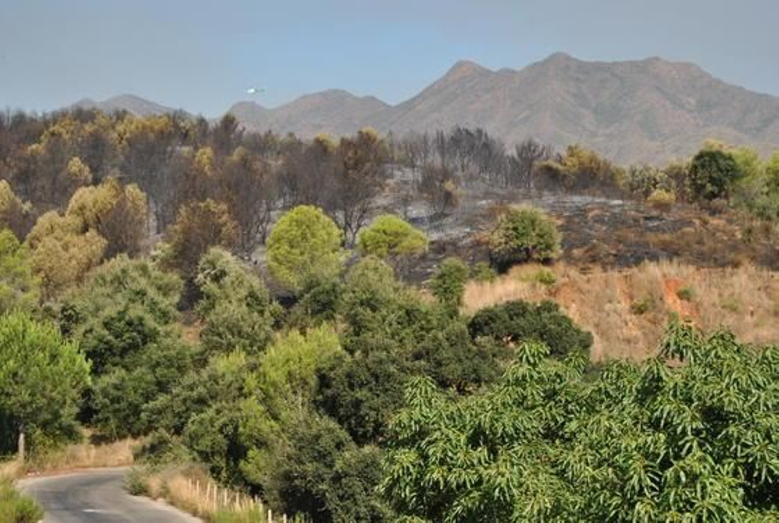 El incendio forestal, en imágenes