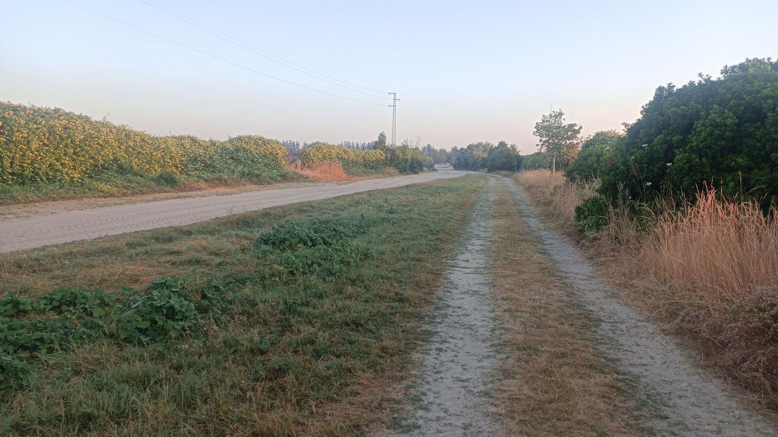 Interesa ir por los tramos hierba o los laterales para evitar hundirnos en la arena.