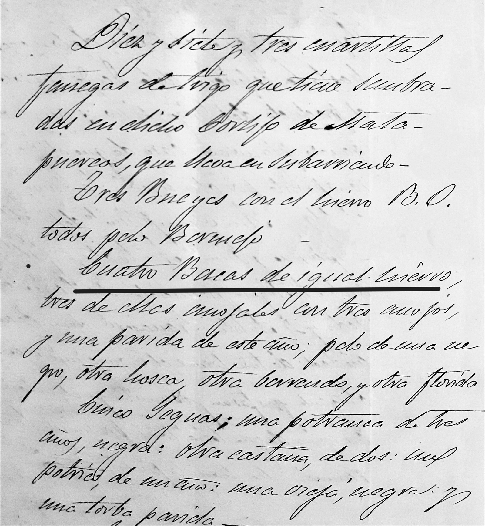 Vicente Otero pone en garantía, entre otras, cuatro vacas de igual hierro.