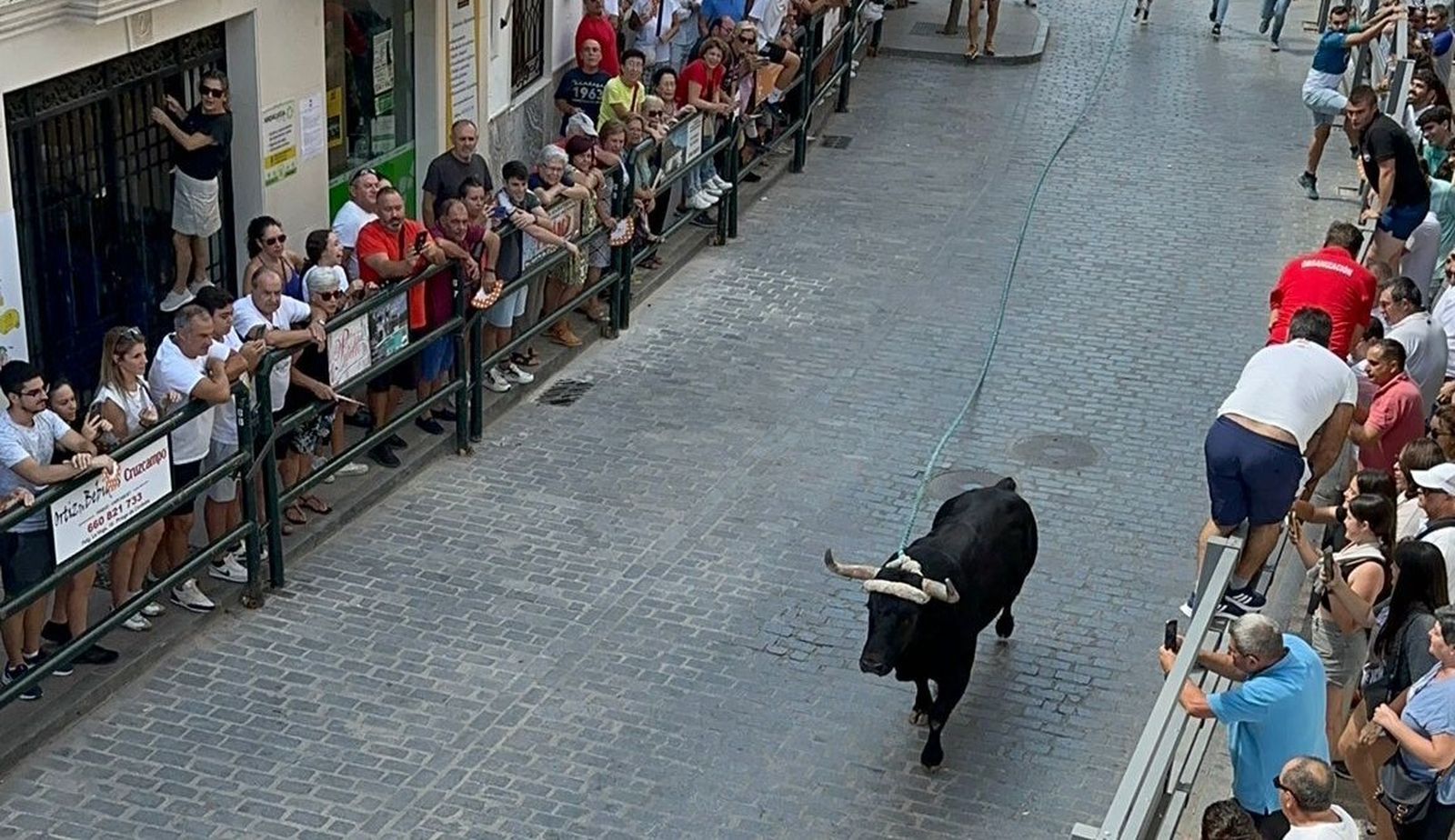 El toro 'Potrero' en Carcabuey.