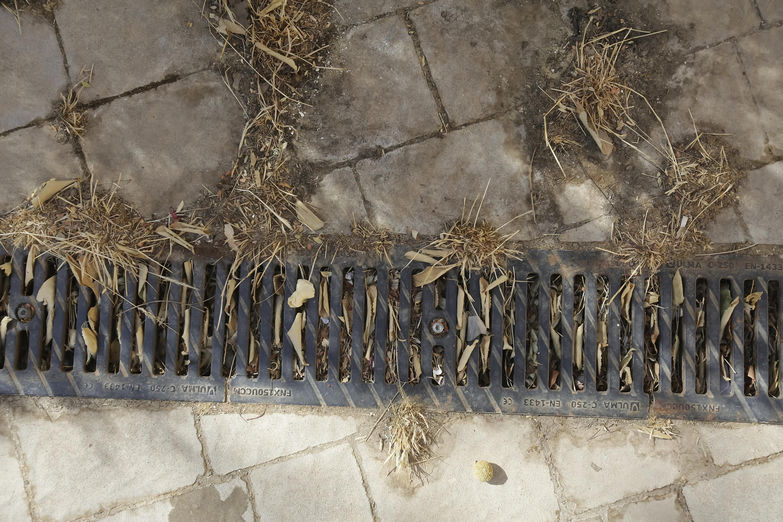 Abandono y mal estado de la plaza entre Mercadona y Plaza de Armas