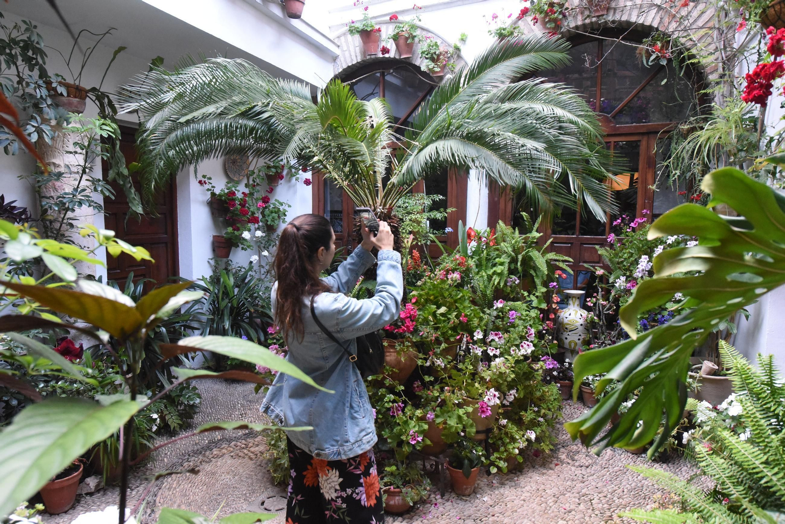 Una ruta en imágenes por los patios de la Judería y San Francisco