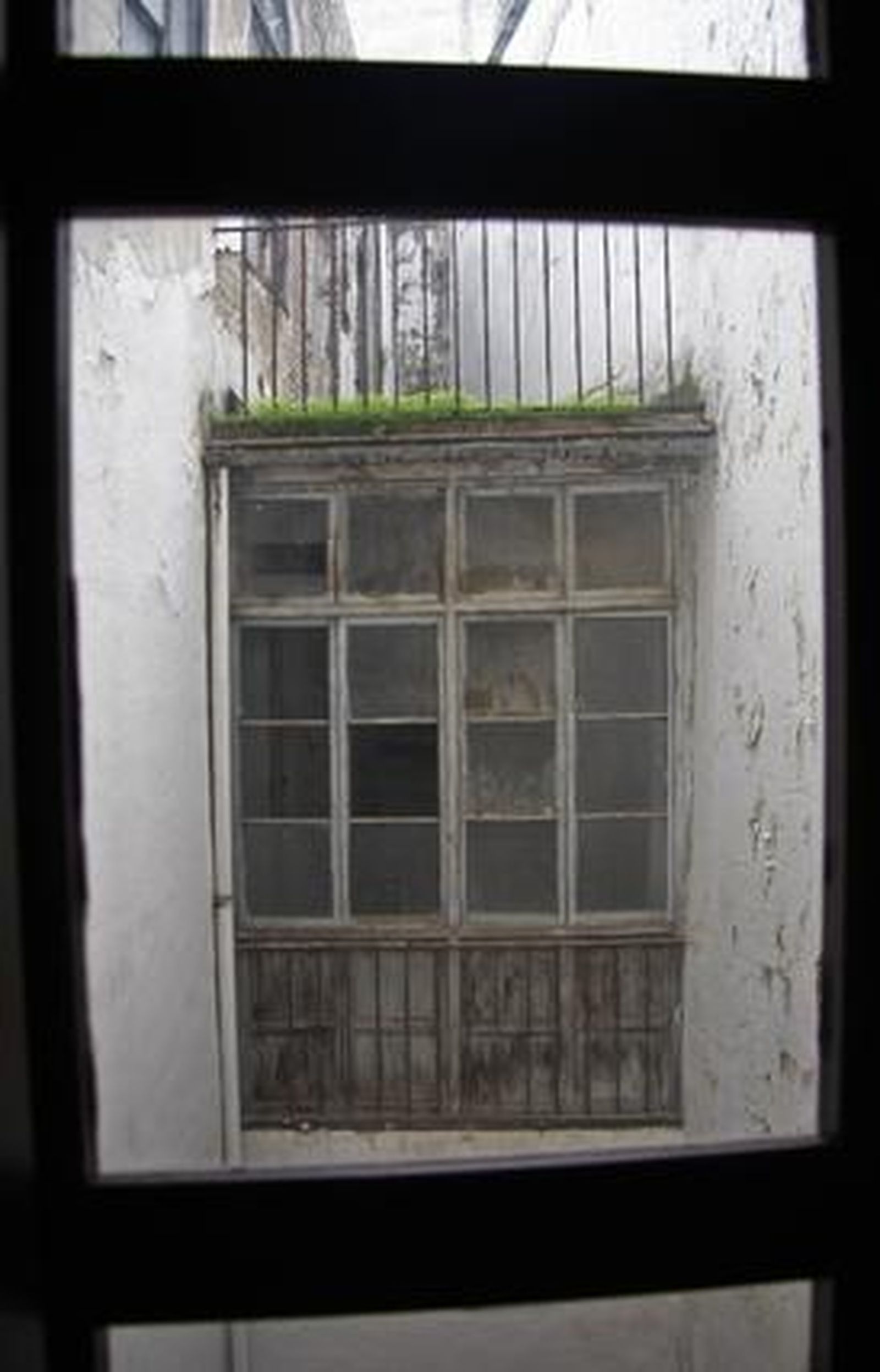 El convento Madre de Dios muestra unos tejados, esculturas, pinturas y muros plagados de desperfectos que demuestran su mal estado de conservación.

Foto: Belén Vargas