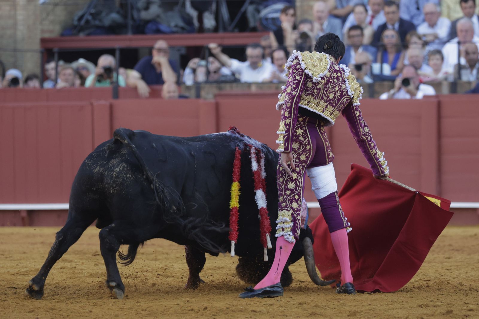 Las imágenes del festejo