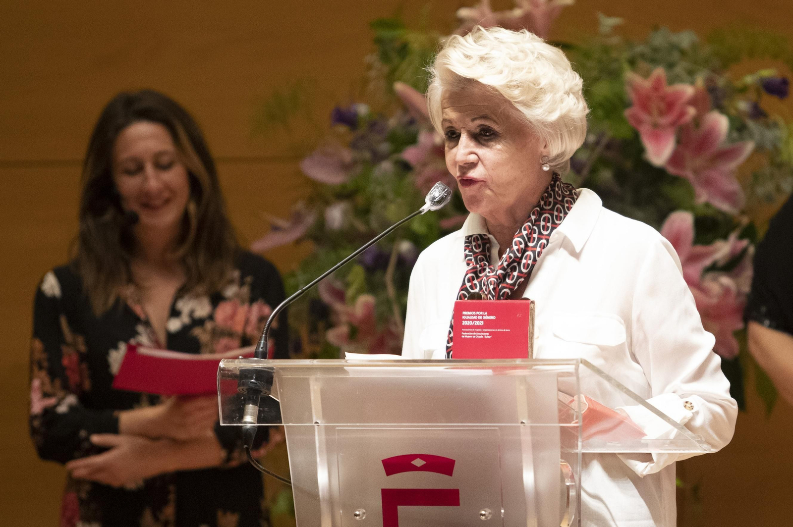 Fotos: los premiados por la Igualdad por la Diputación de Granada