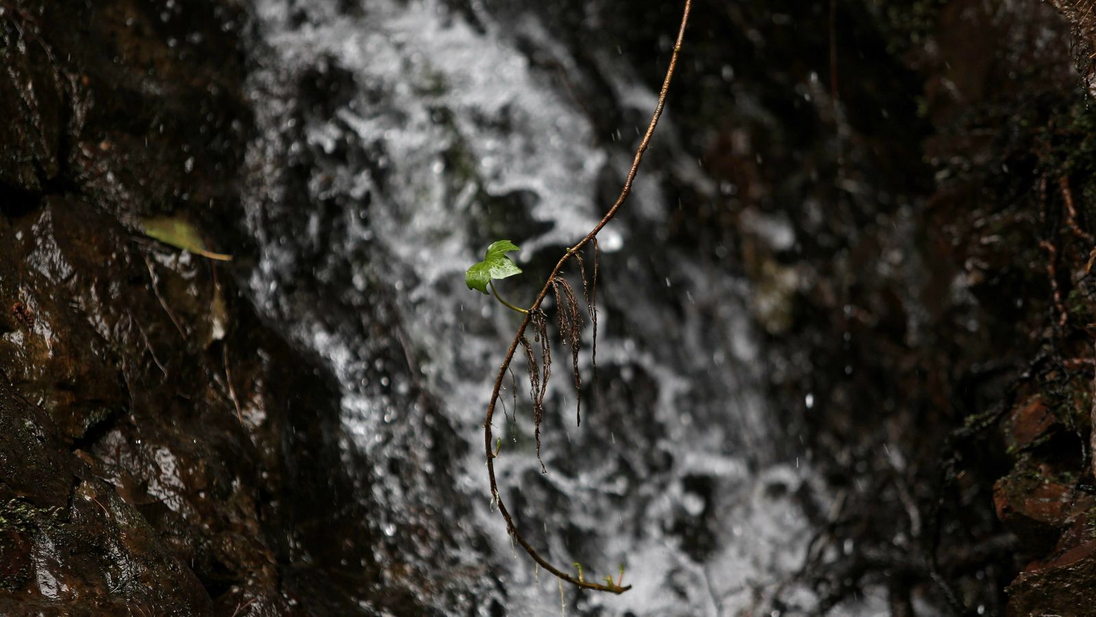 Las mejores fotos del sendero del Río de la Miel