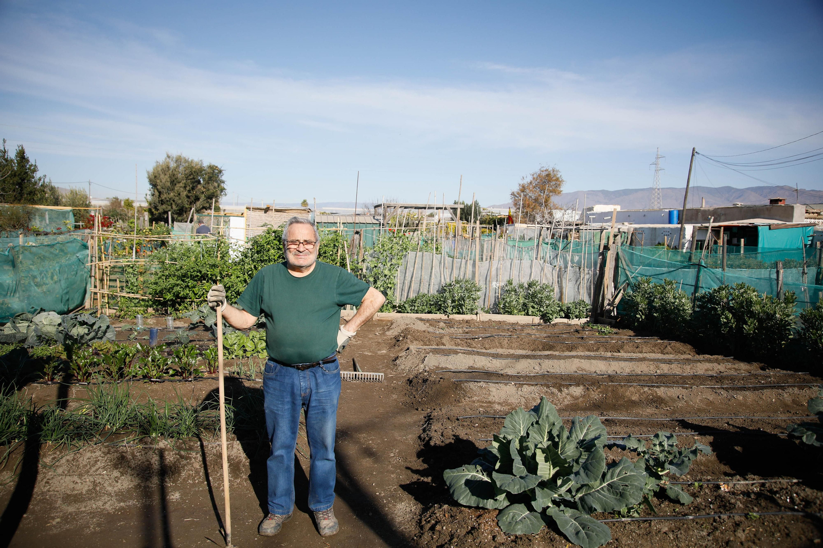 Imágenes del huerto urbano de La Cañada