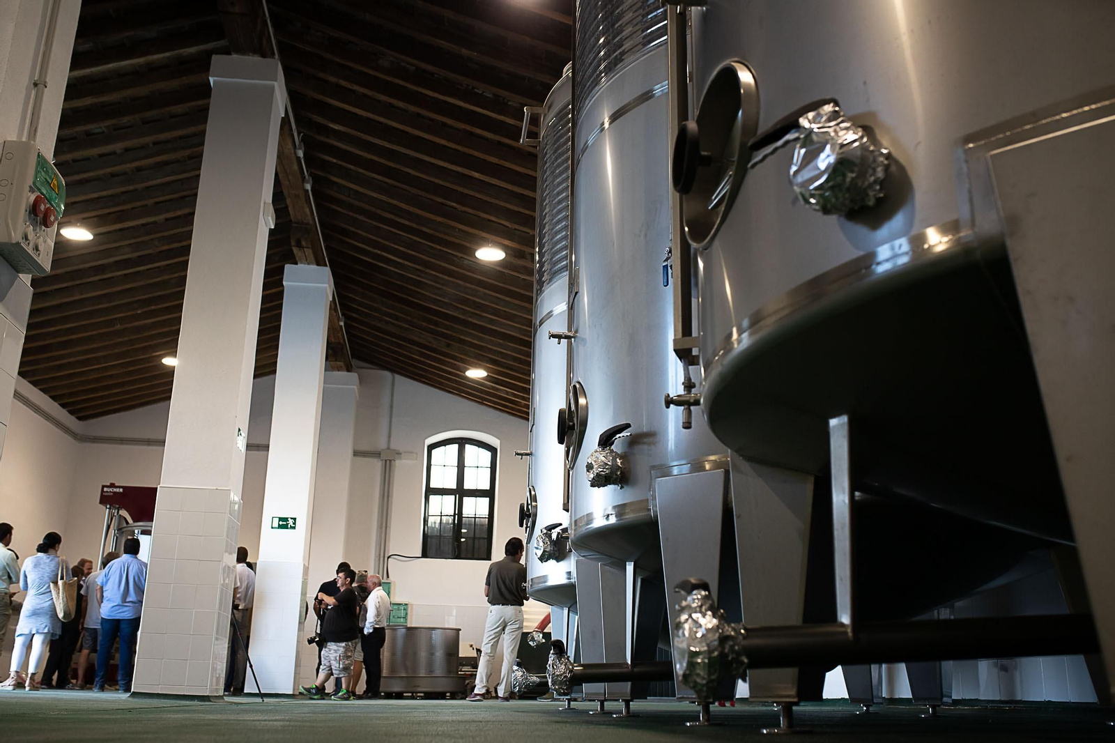 La vendimia nocturna de Tío Pepe