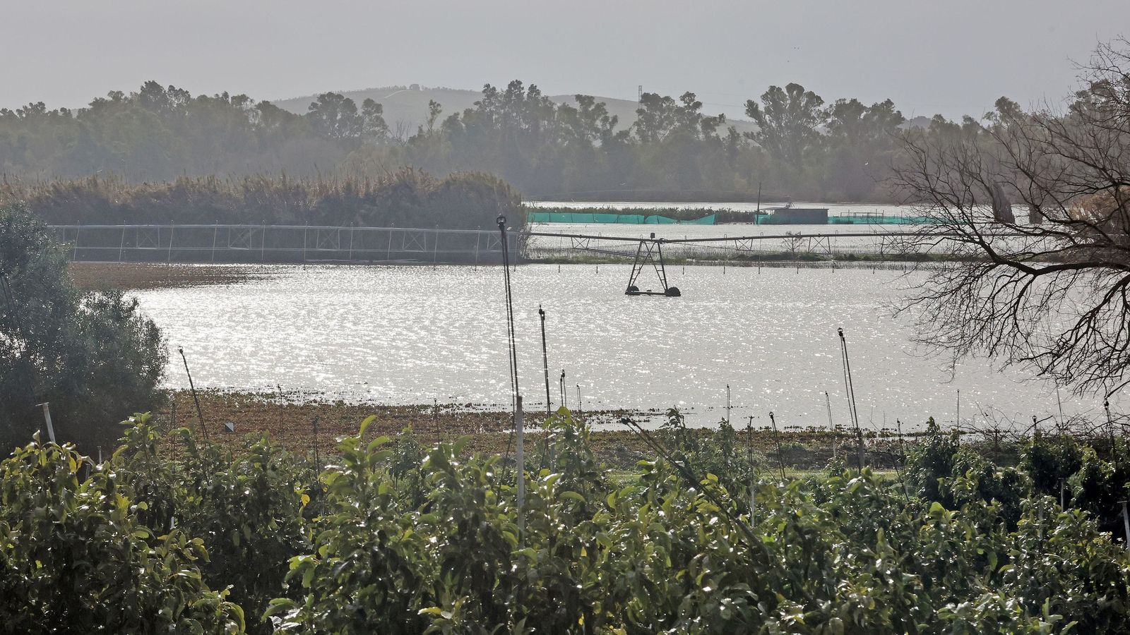 Así afronta la zona rural de Jerez la subida del río Guadalete