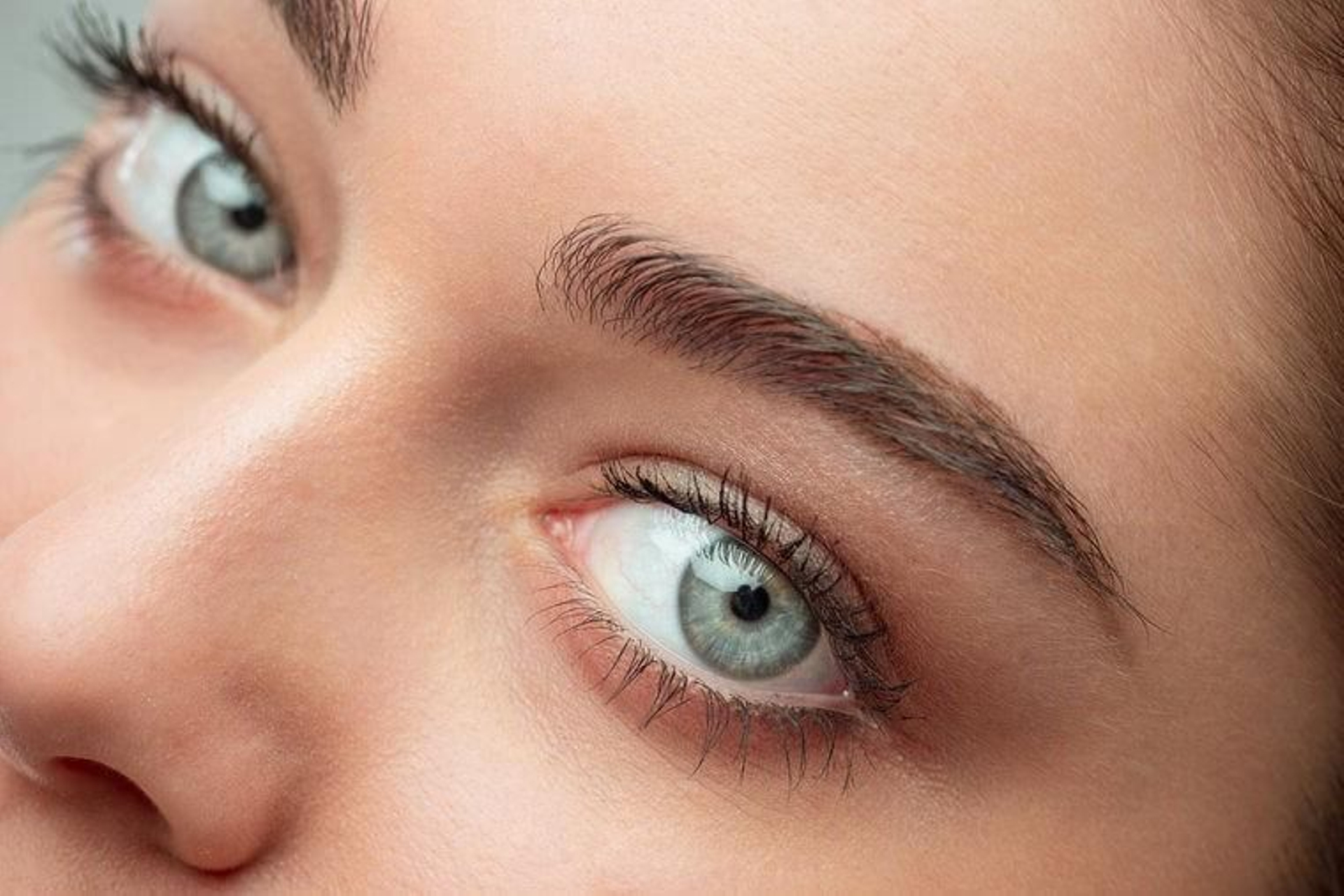 Cejas
