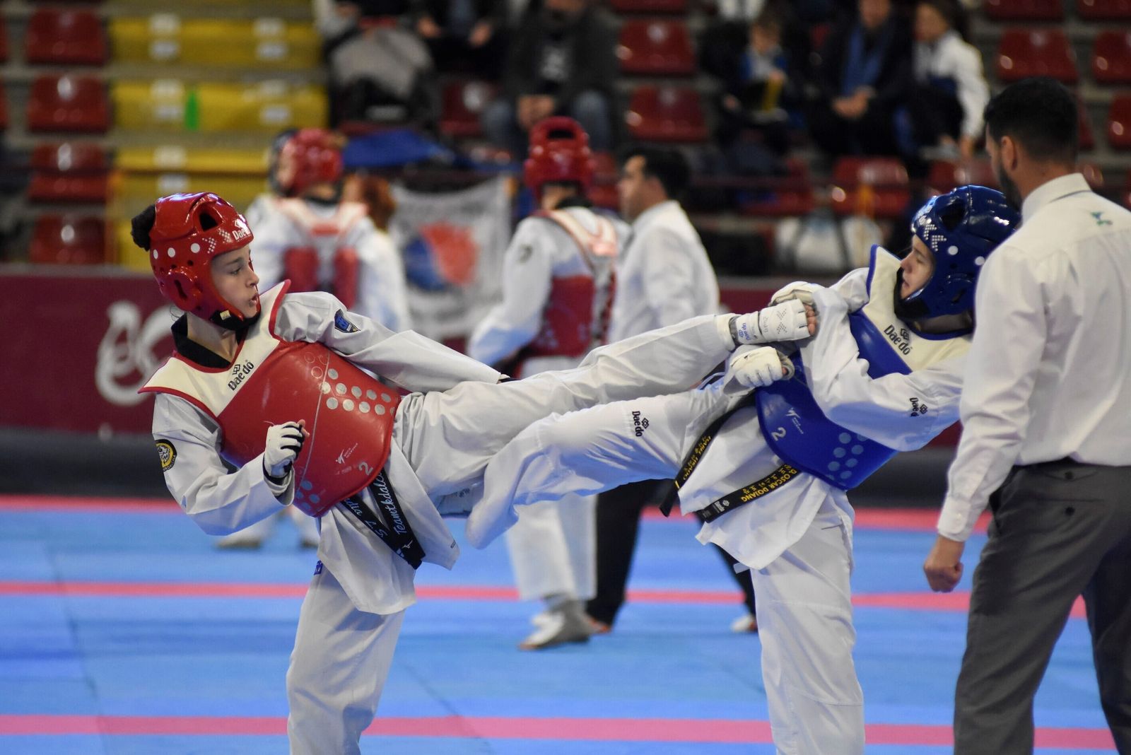Las mejores fotos del Open Internacional de Taekwondo celebrado en Córdoba