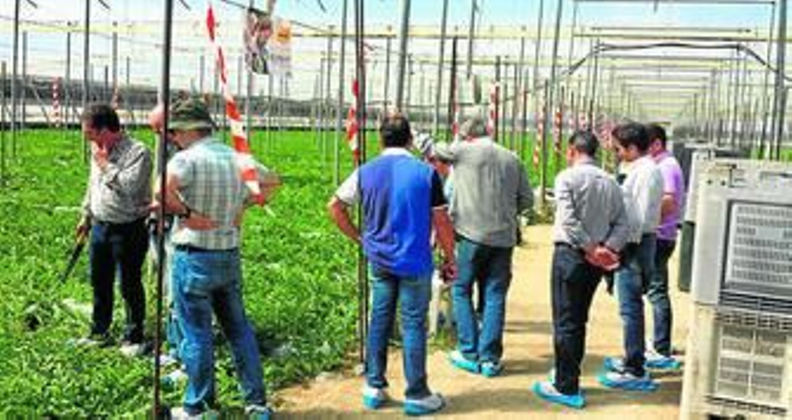 El escenario elegido por Nunhems para su 'Business Event for Experts' fue El Ejido, donde desgranó las claves para obtener más rentabilidad en sandía.