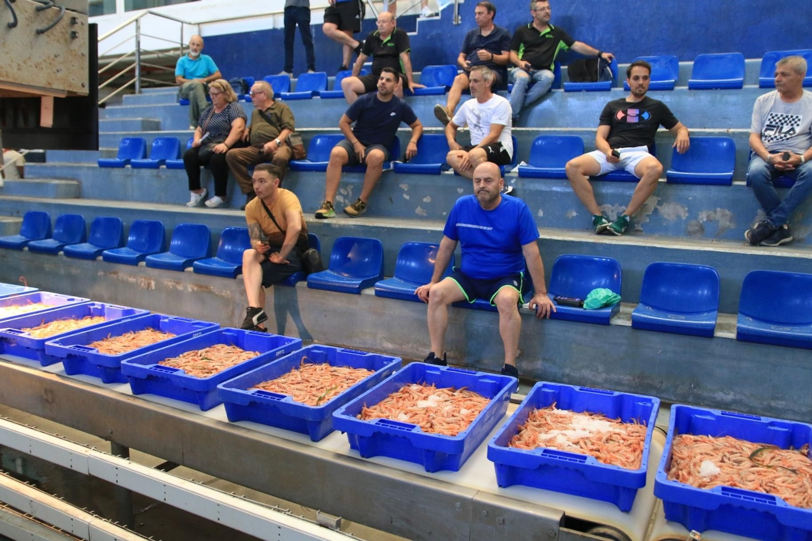 Vea cómo se descargan y se venden en la lonja la Gamba Roja de Almería