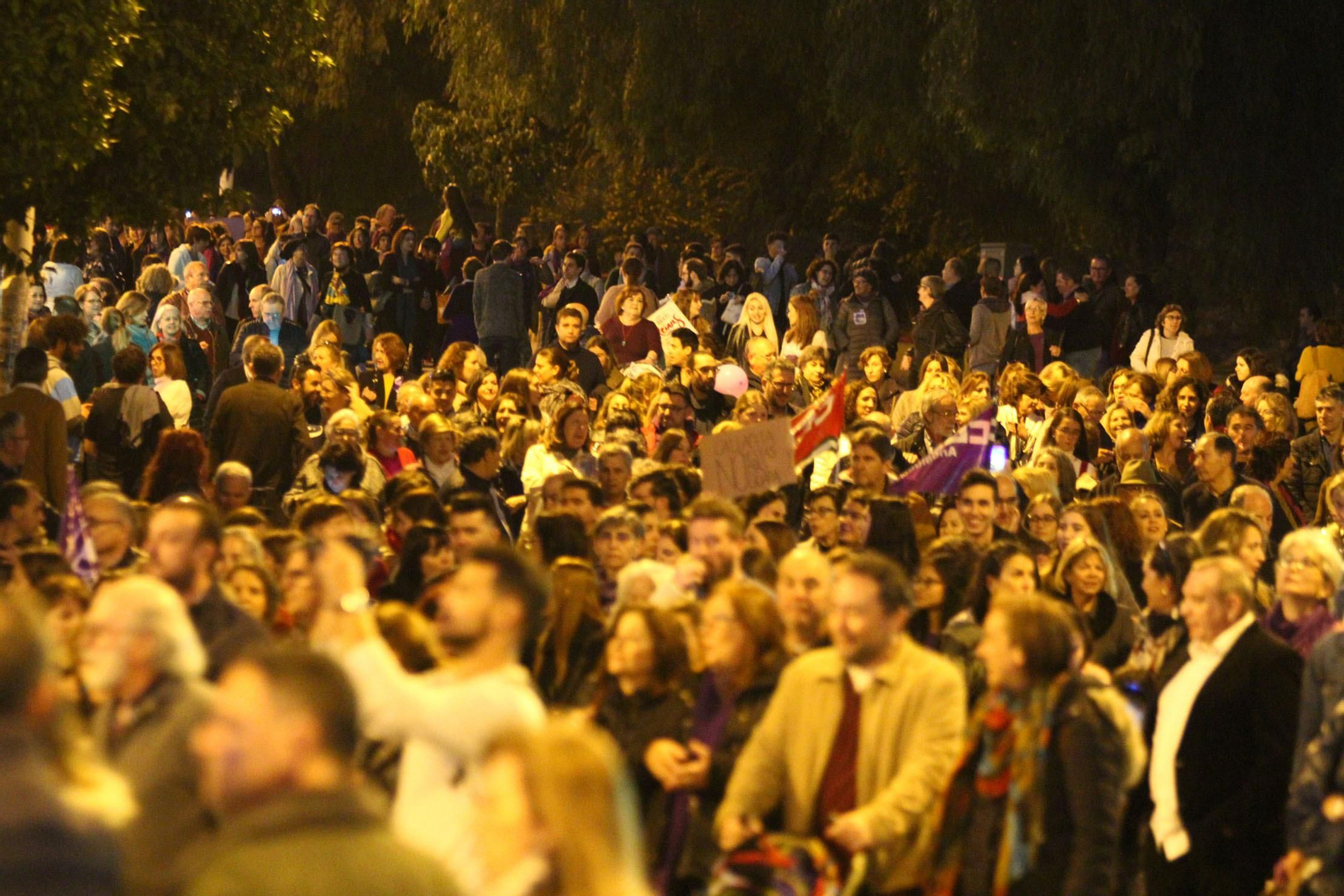 Imágenes de la Manifestación del día Internacional de la Mujer