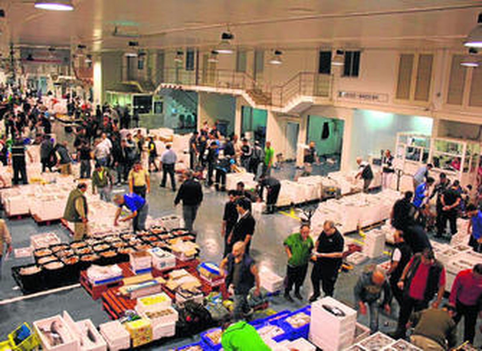 Mayoristas de pescado, en el interior de las instalaciones de Mercamálaga.