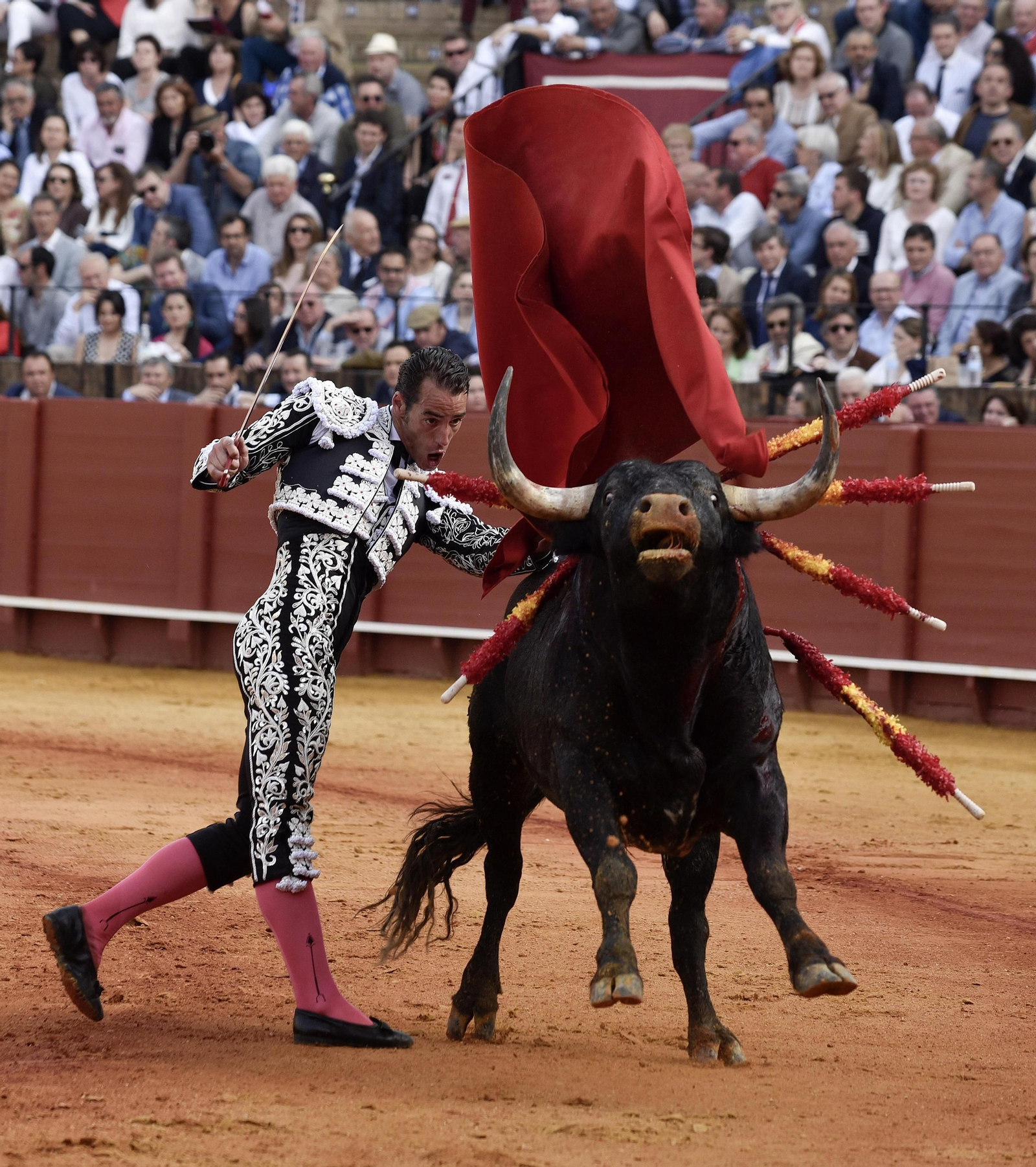 Las imágenes de la 14ª de abono de la Maestranza