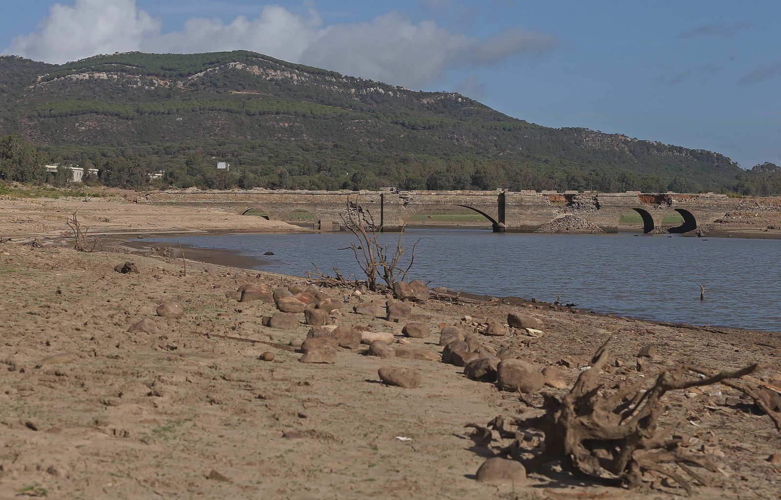 Imágenes del pantano de Charco Redondo en Los Barrios