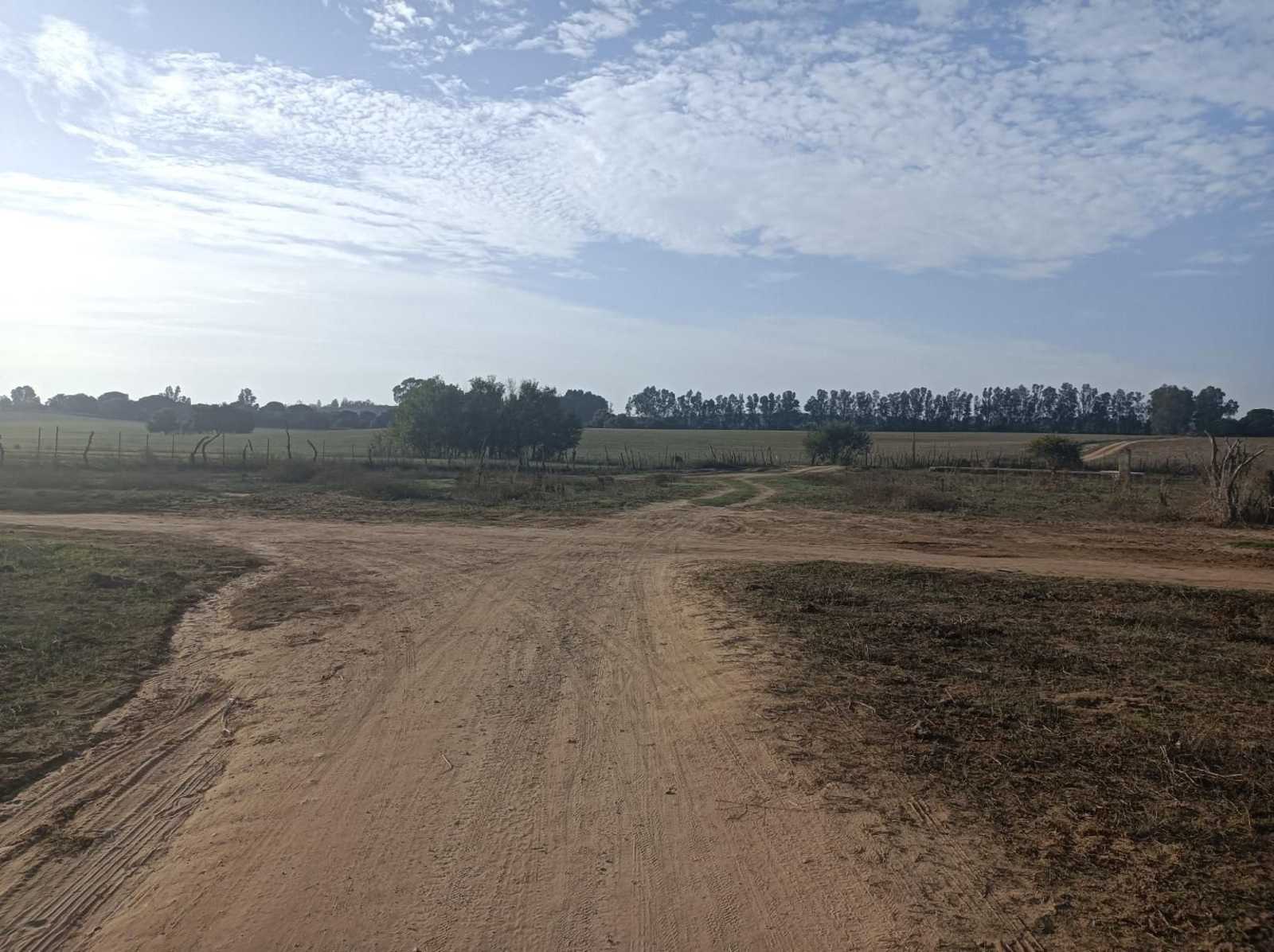 Fotos del Camino de San Diego en Almensilla