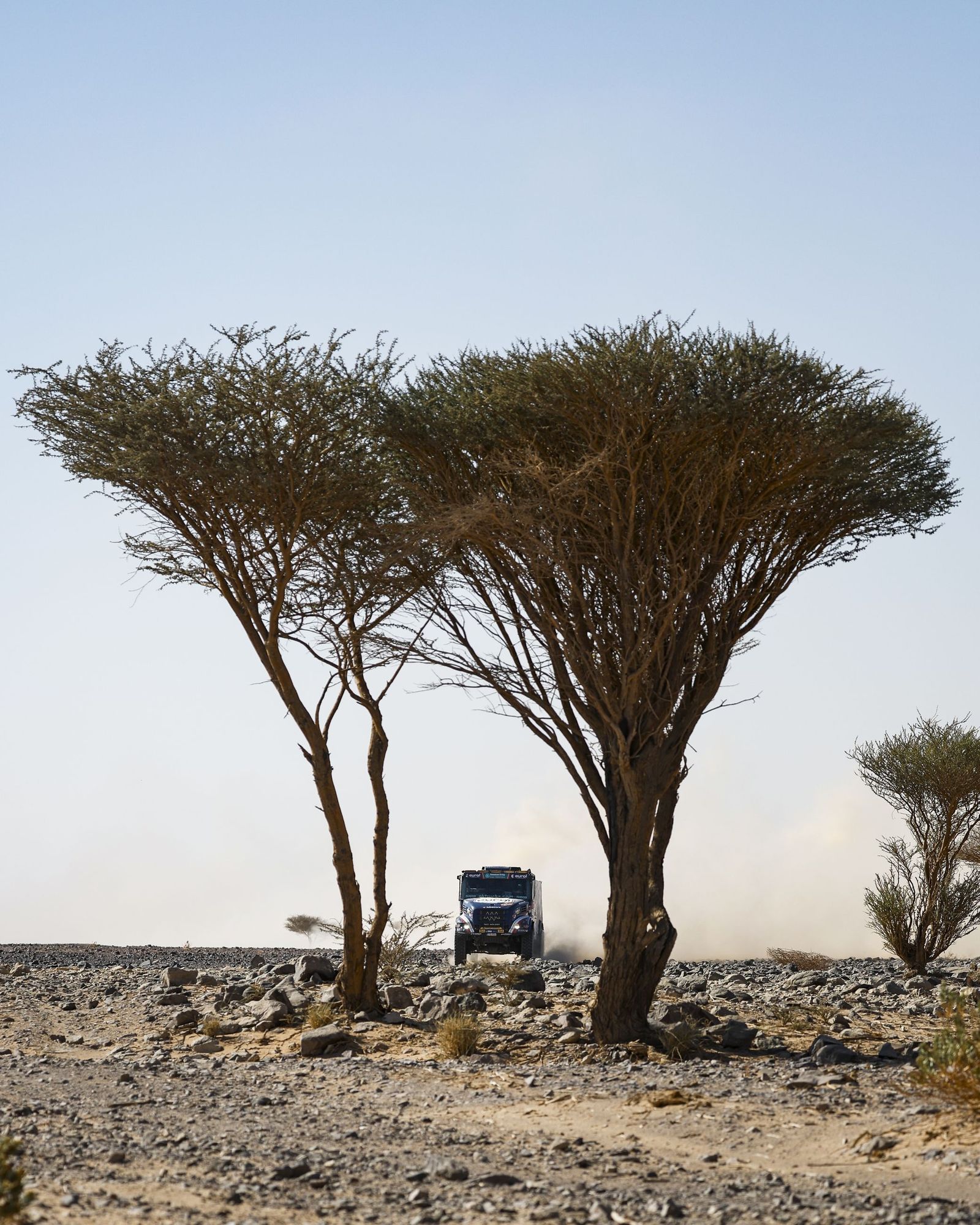 Las mejores fotos del Rally Dakar | Novena etapa