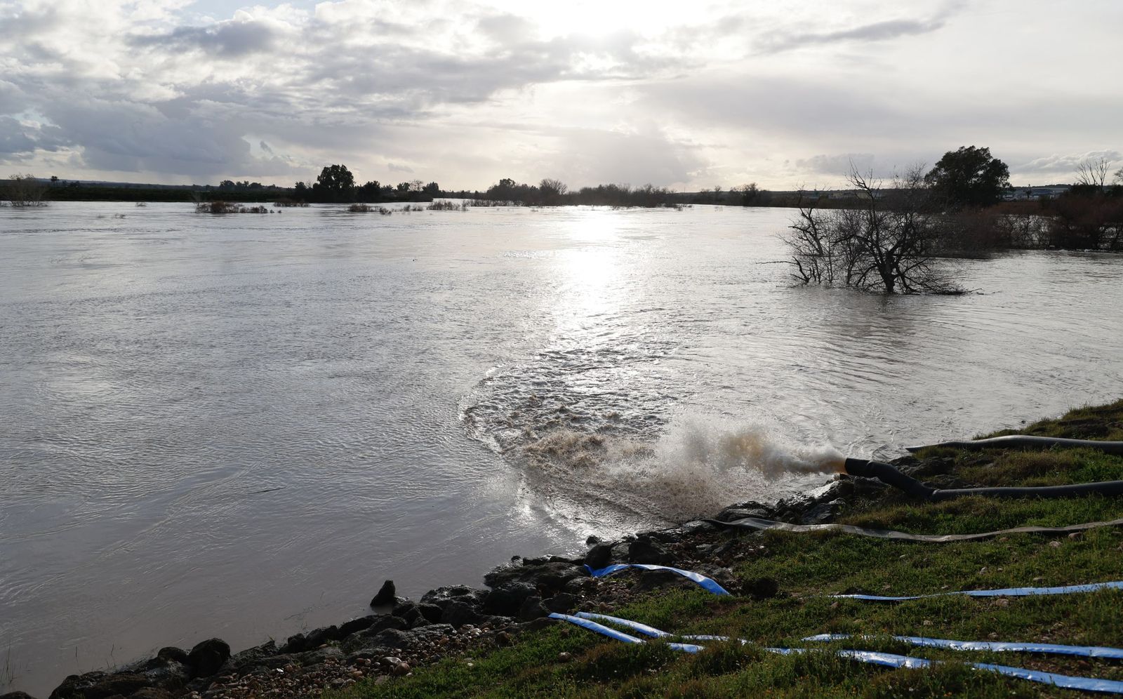 Las fotos de la crecida del río Guadalquivir en Lora del Río por la borrasca Leonardo