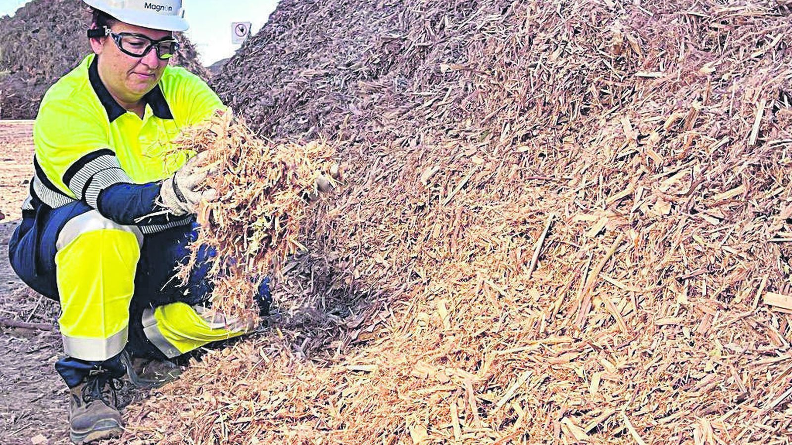 Trabajadora de Magnon.