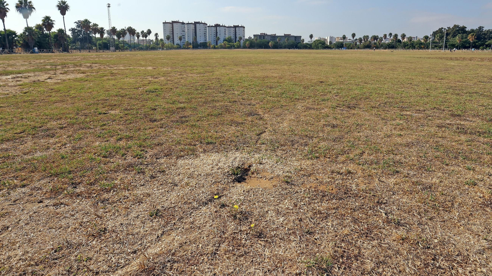 Este es el estado en que se encuentra la Pradera de Chapín en Jerez