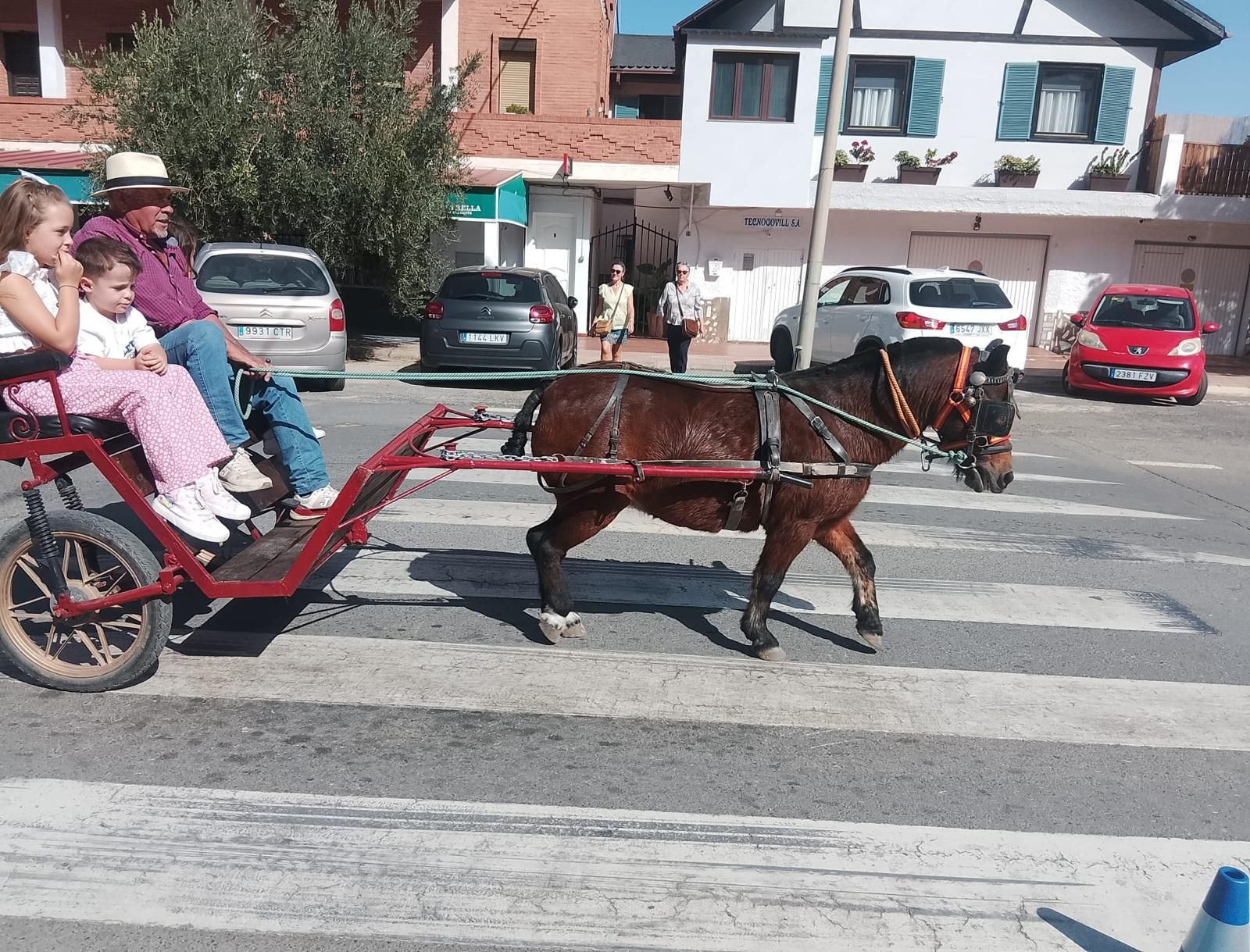 Así se ha vivido la II Feria Equina de Abla