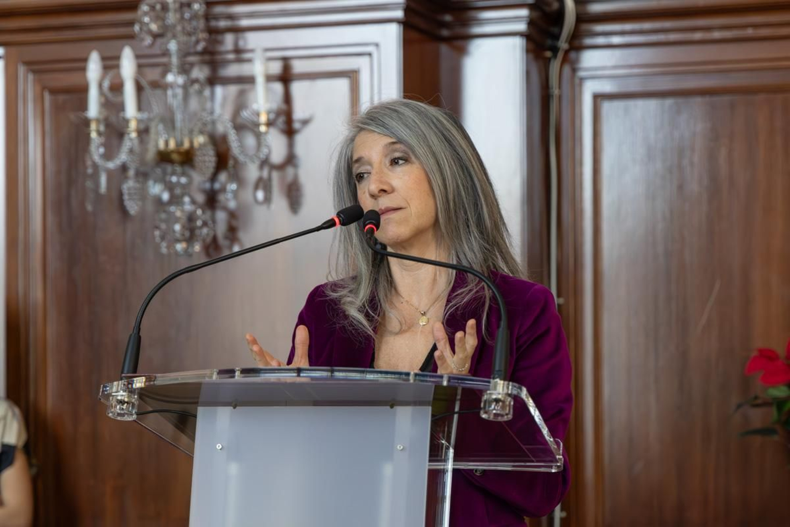 Acto institucional conmemorativo del 46º aniversario de la Constitución Española