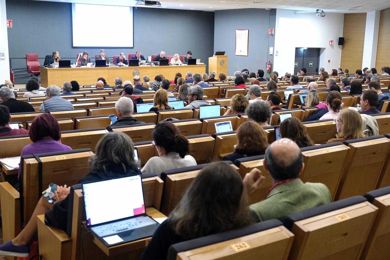 Una de las sesiones claustrales donde se debatió el nuevo estatuto de la US. Una de las sesiones claustrales donde se debatió el nuevo estatuto de la US.