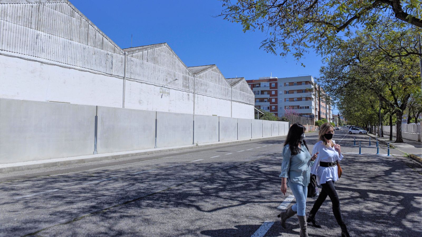Bloques de viviendas de Los Olivares en Alcosa, pegados a la algodonera.