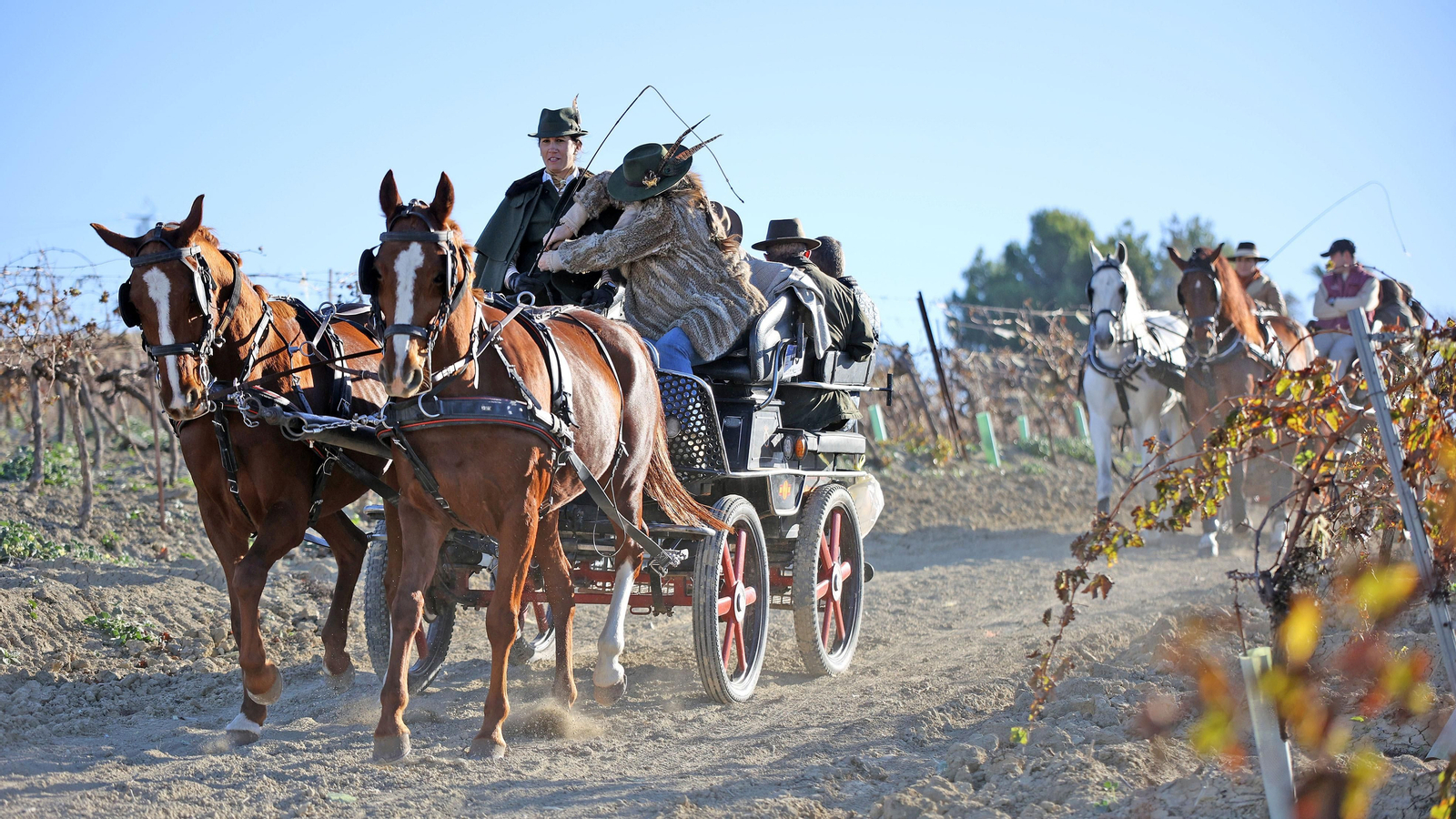 II Ruta Viñas de Jerez