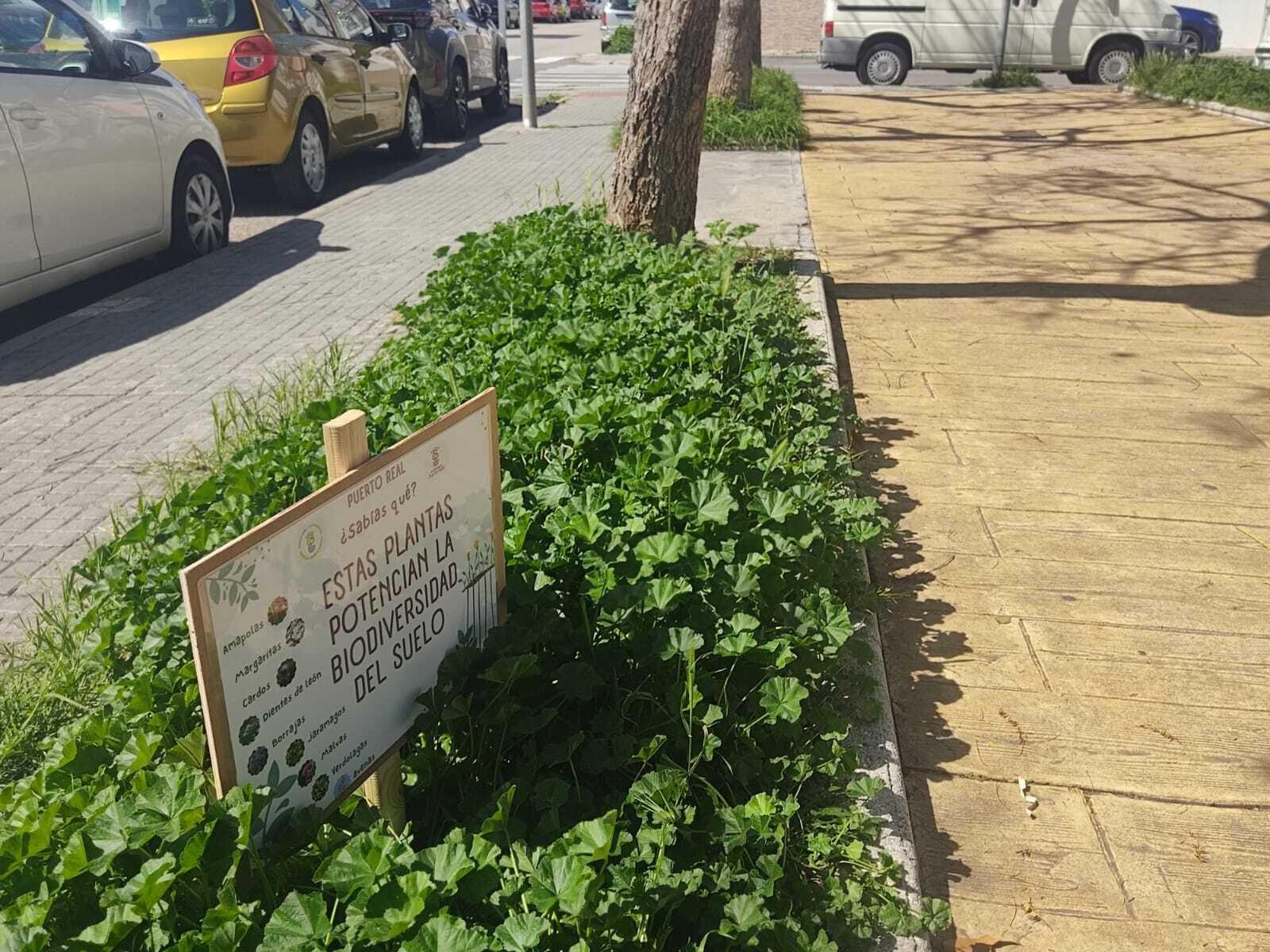 Uno de los espacios señalizados como 'Pradera Natural' Uno de los espacios señalizados como 'Pradera Natural'