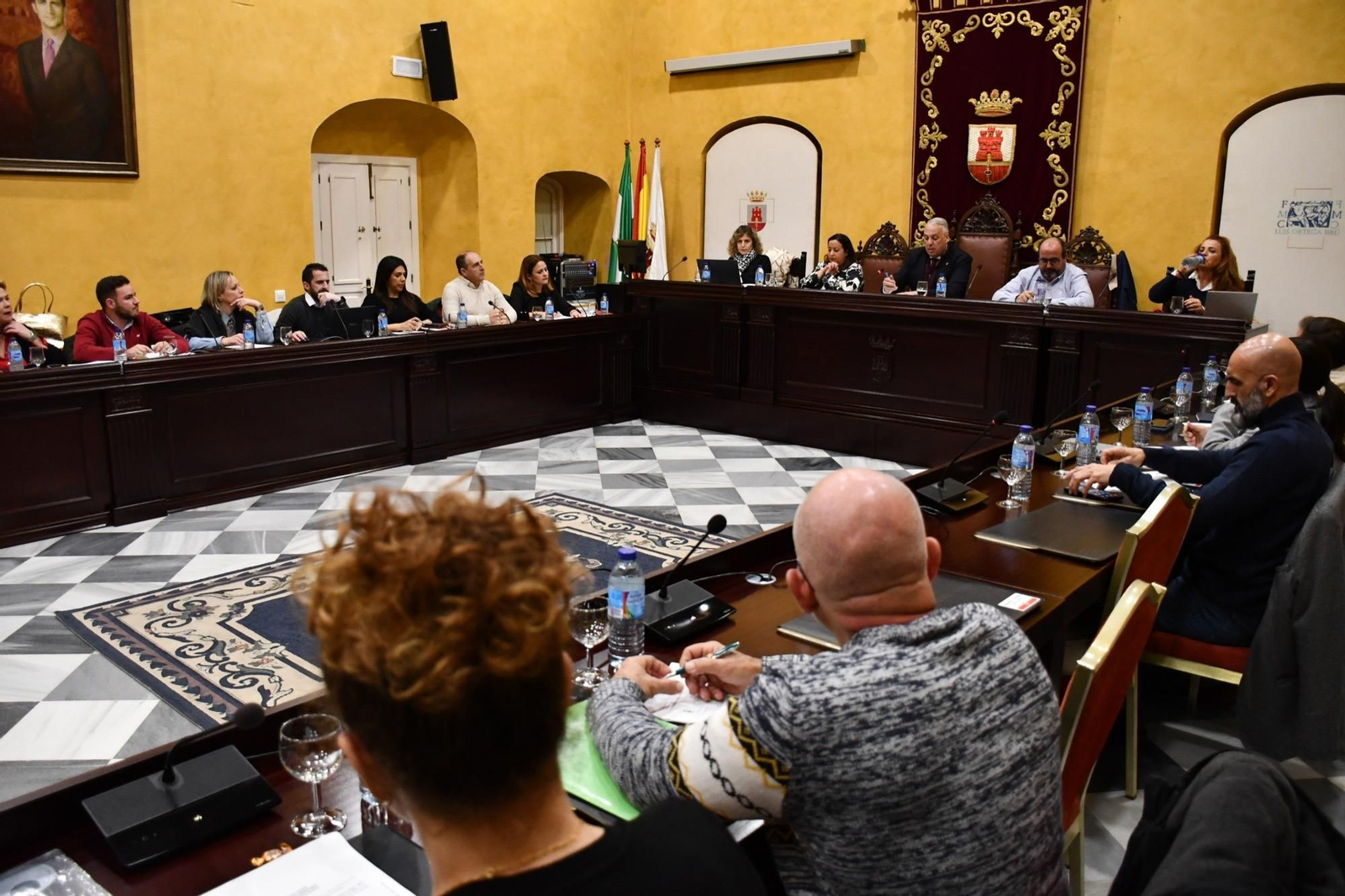Un momento del pleno ordinario celebrado este jueves en el Palacio de los Gobernadores