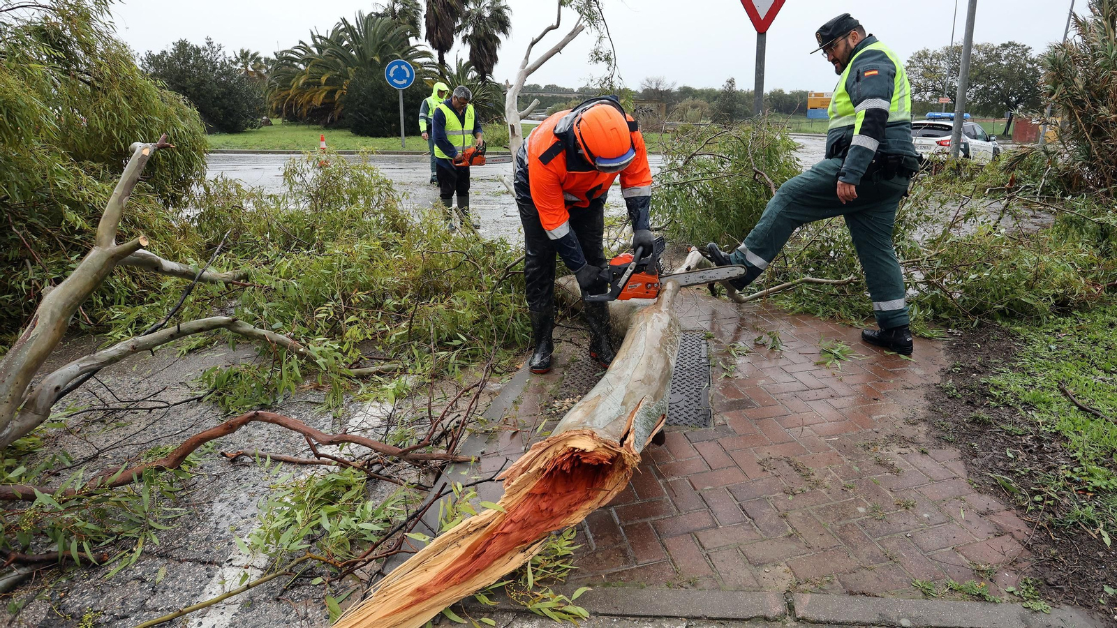 Imágenes del temporal de viento y lluvia en Jerez