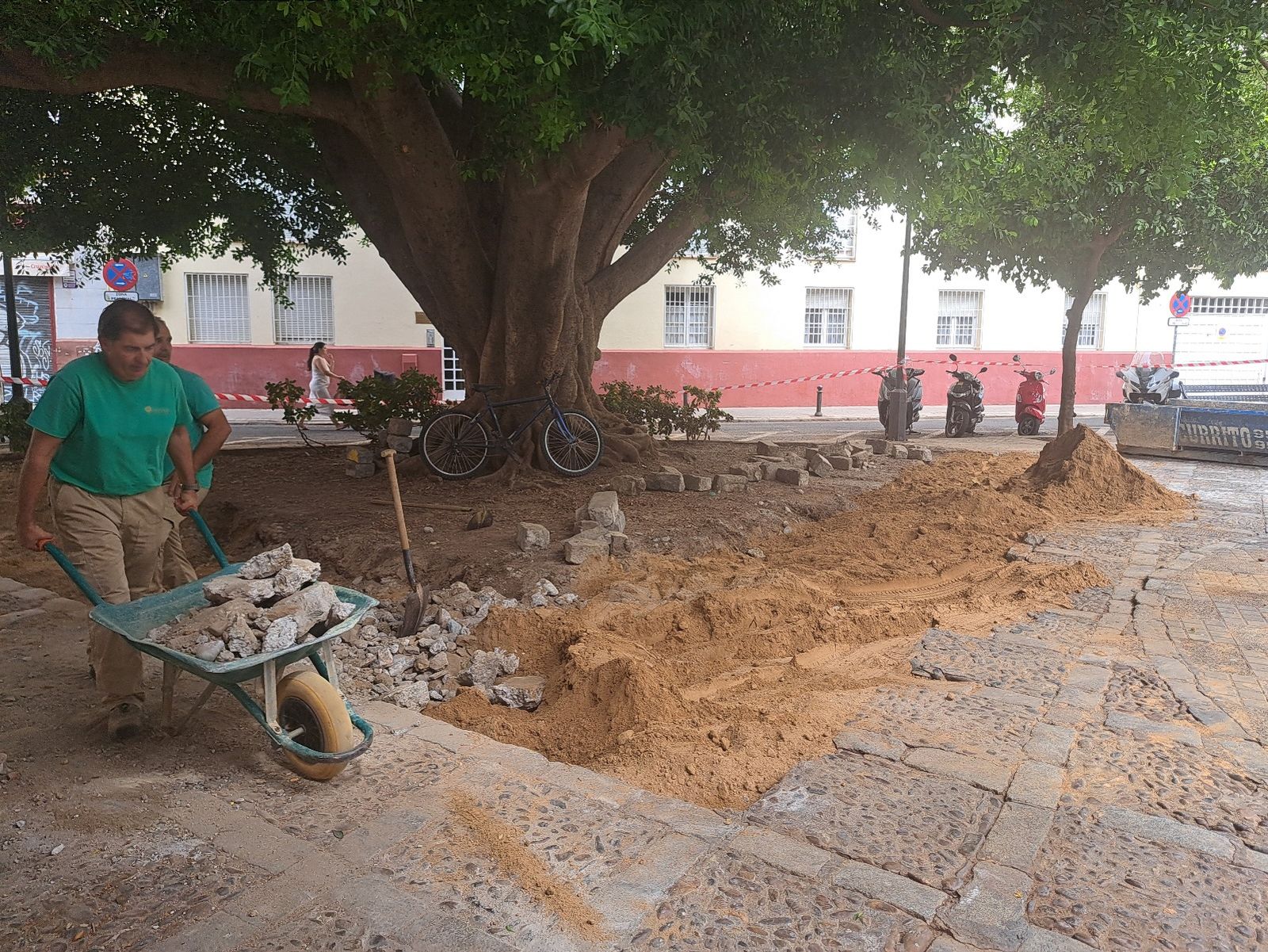 Ampliación y cerramiento del alcorque del ficus actualmente en obras por Parques y Jardines.